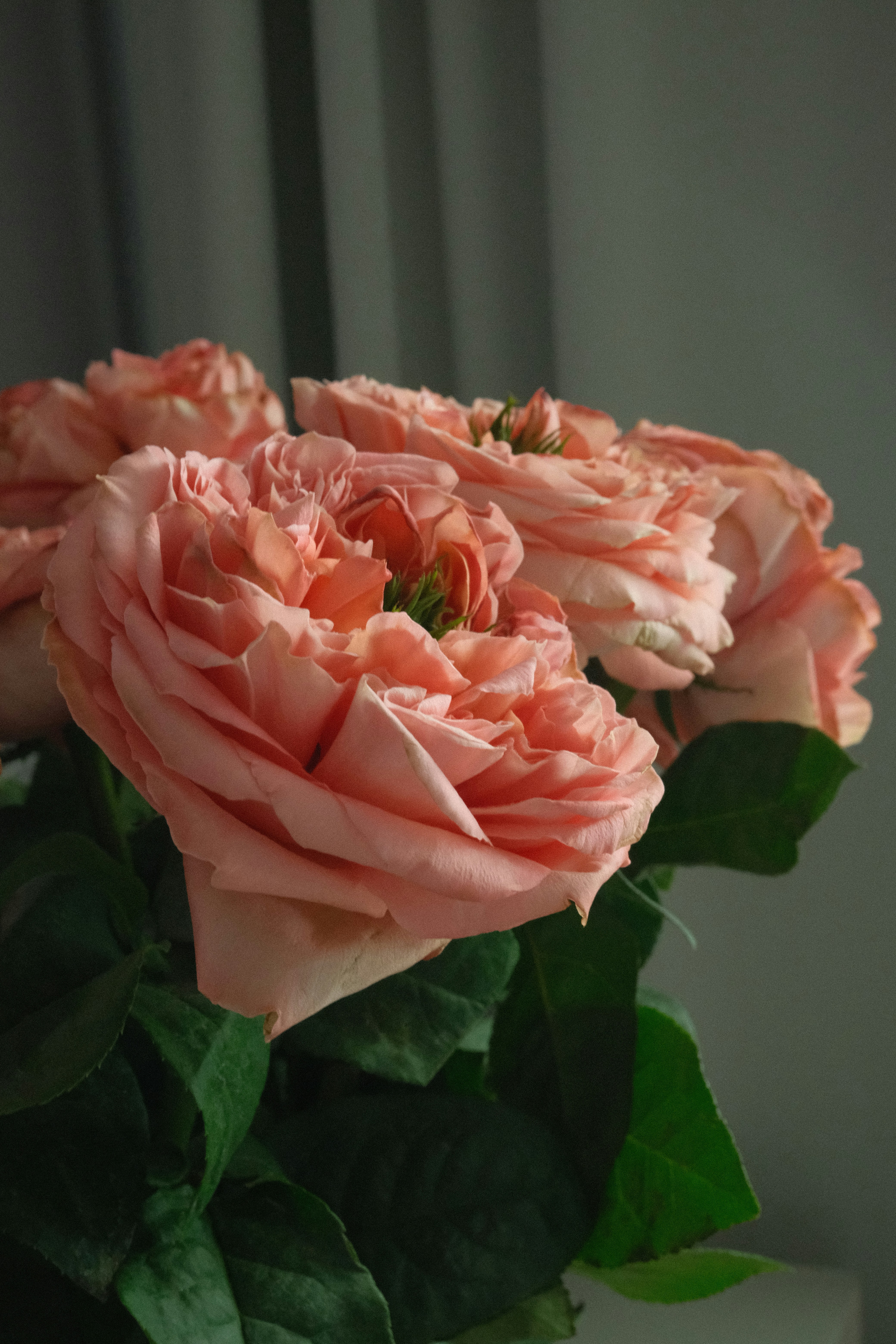 Photo by tatianarudneva