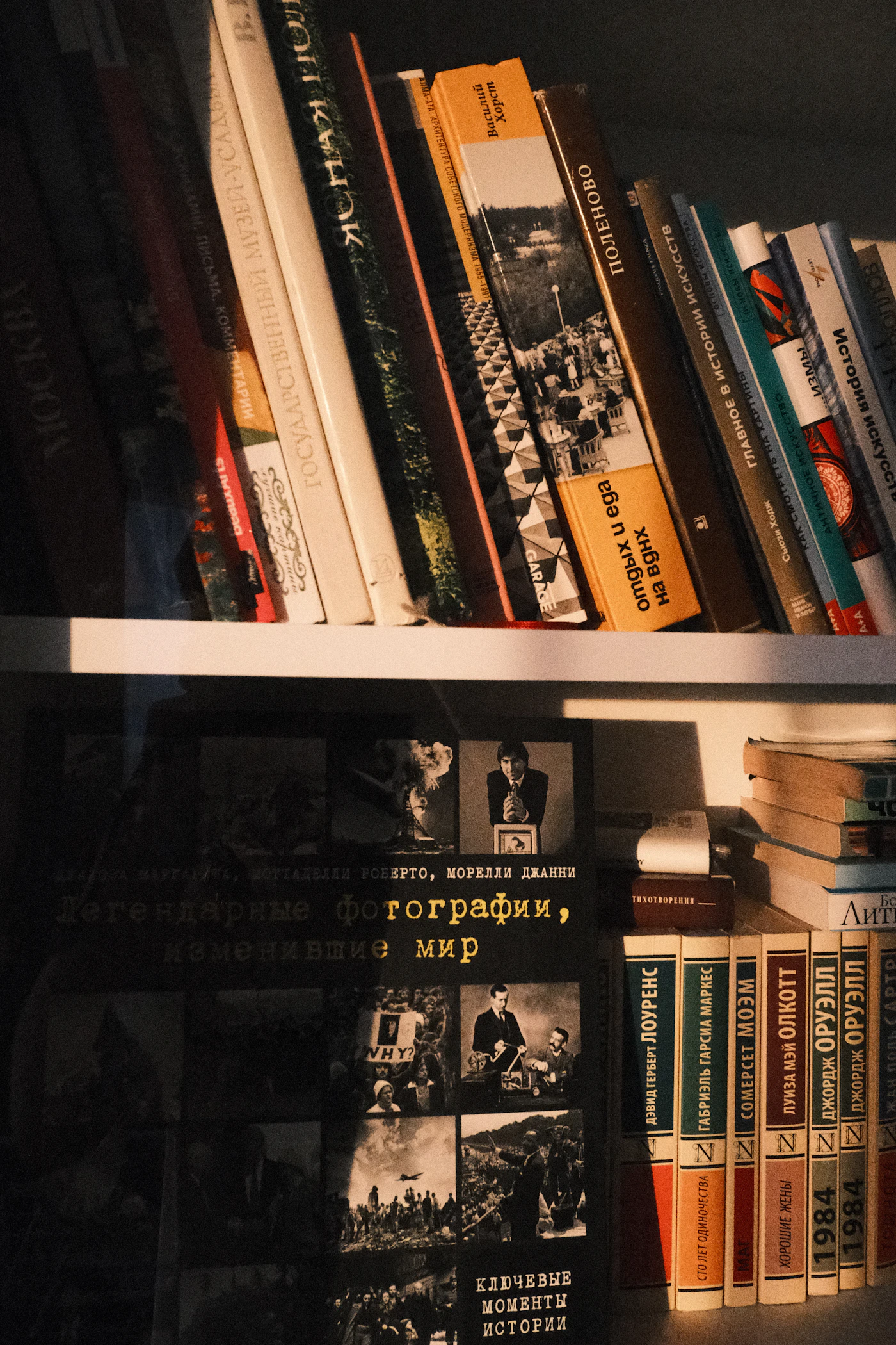 Colección de libros en estanterías