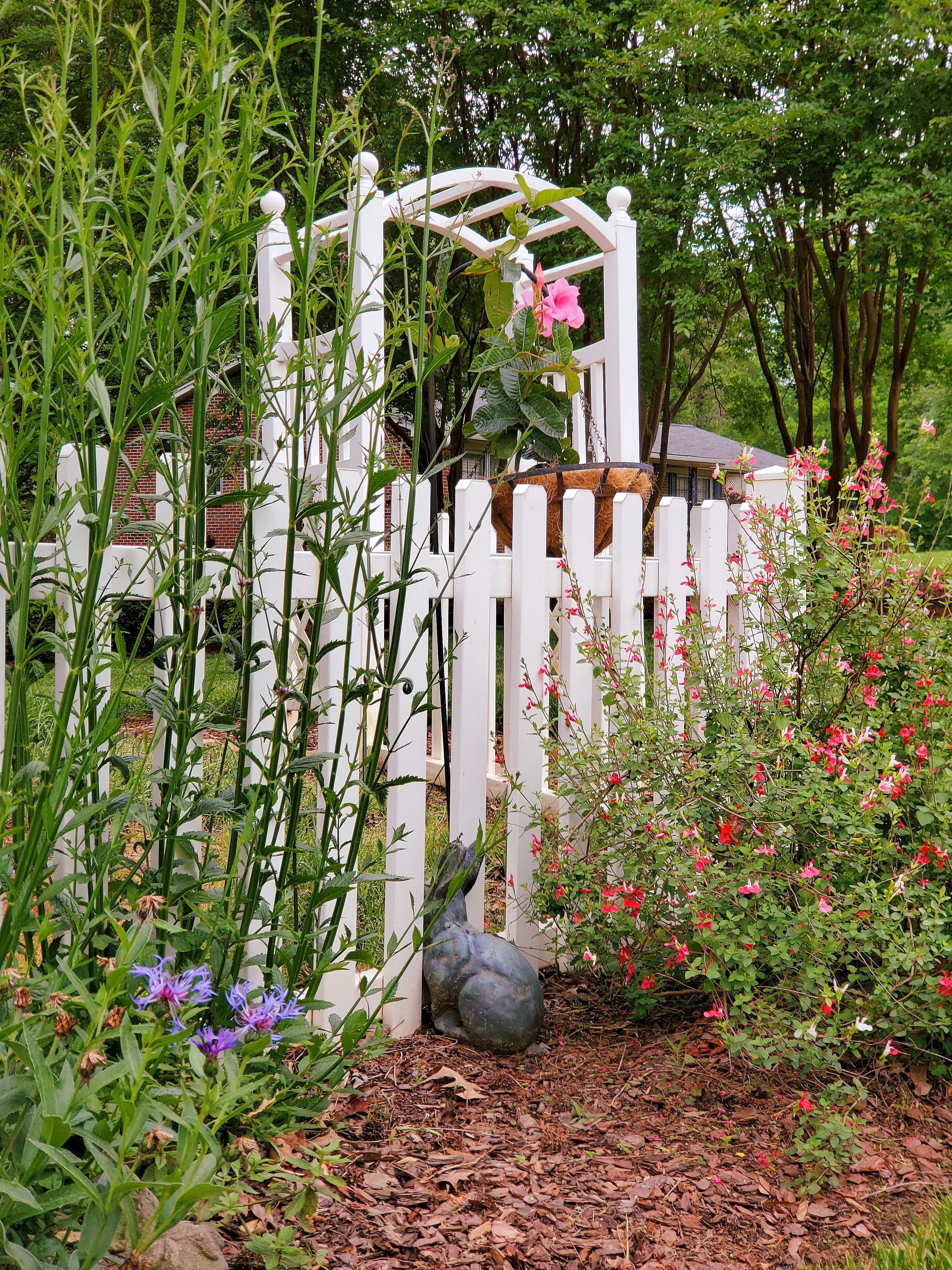 Gridnexshiftmind team members performing soil analysis and garden design at a summer cottage in Nagano