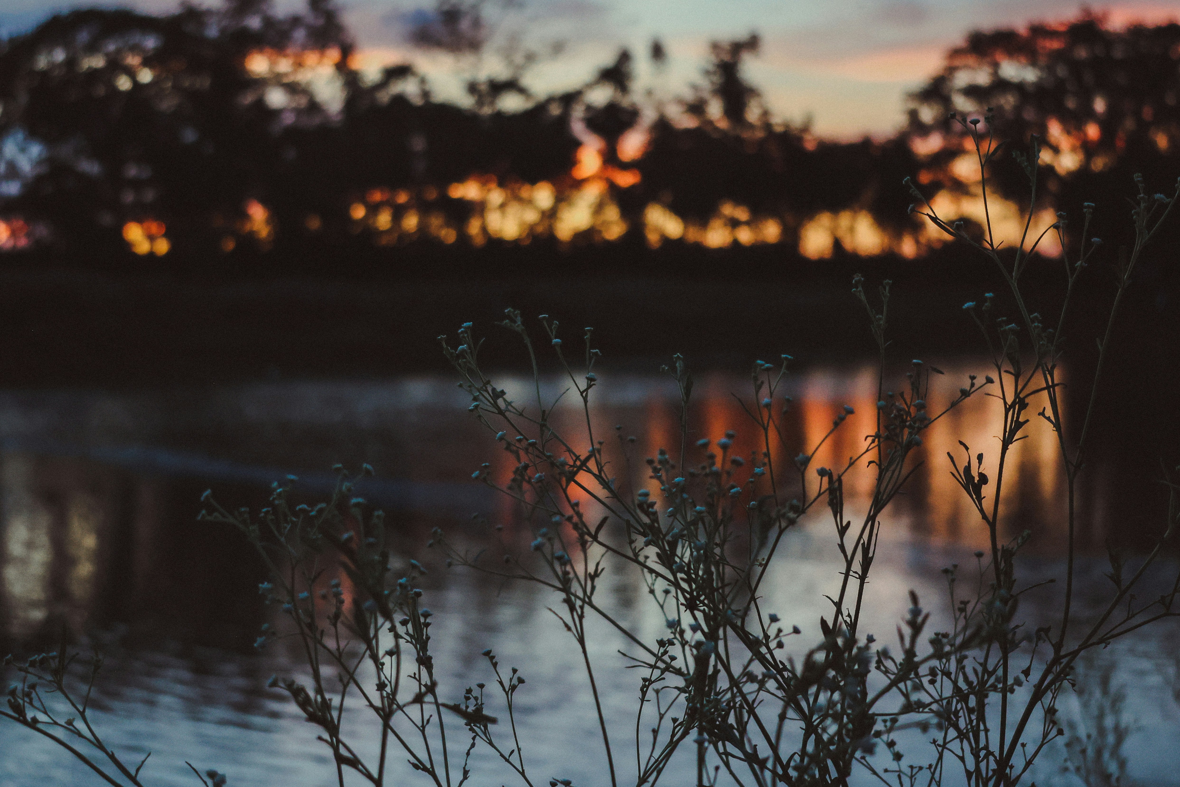 Photo by infoakashi