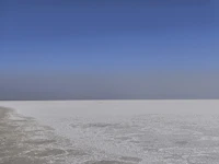 Best Family Beaches Near Bhuj: Calm Water, Shade, and No Nasty Surprises
