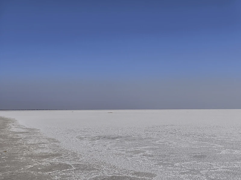 Best Family Beaches Near Bhuj: Calm Water, Shade, and No Nasty Surprises