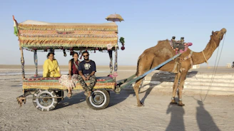 Three people in a decorated cart pulled by a camel.