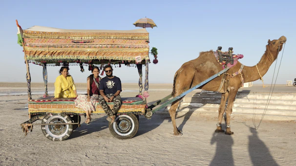 Three people in a decorated cart pulled by a camel.