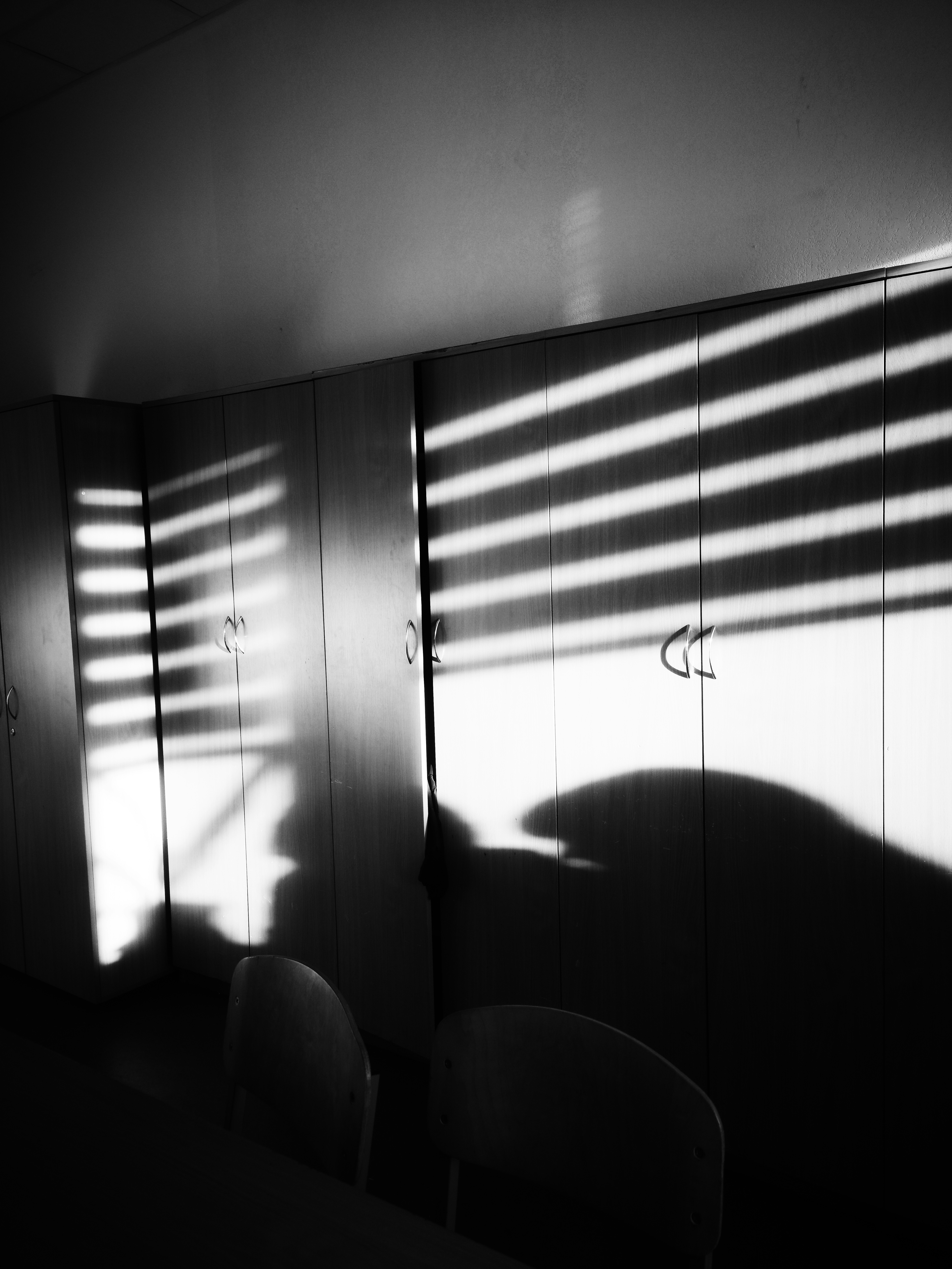 Photo by imjustreal