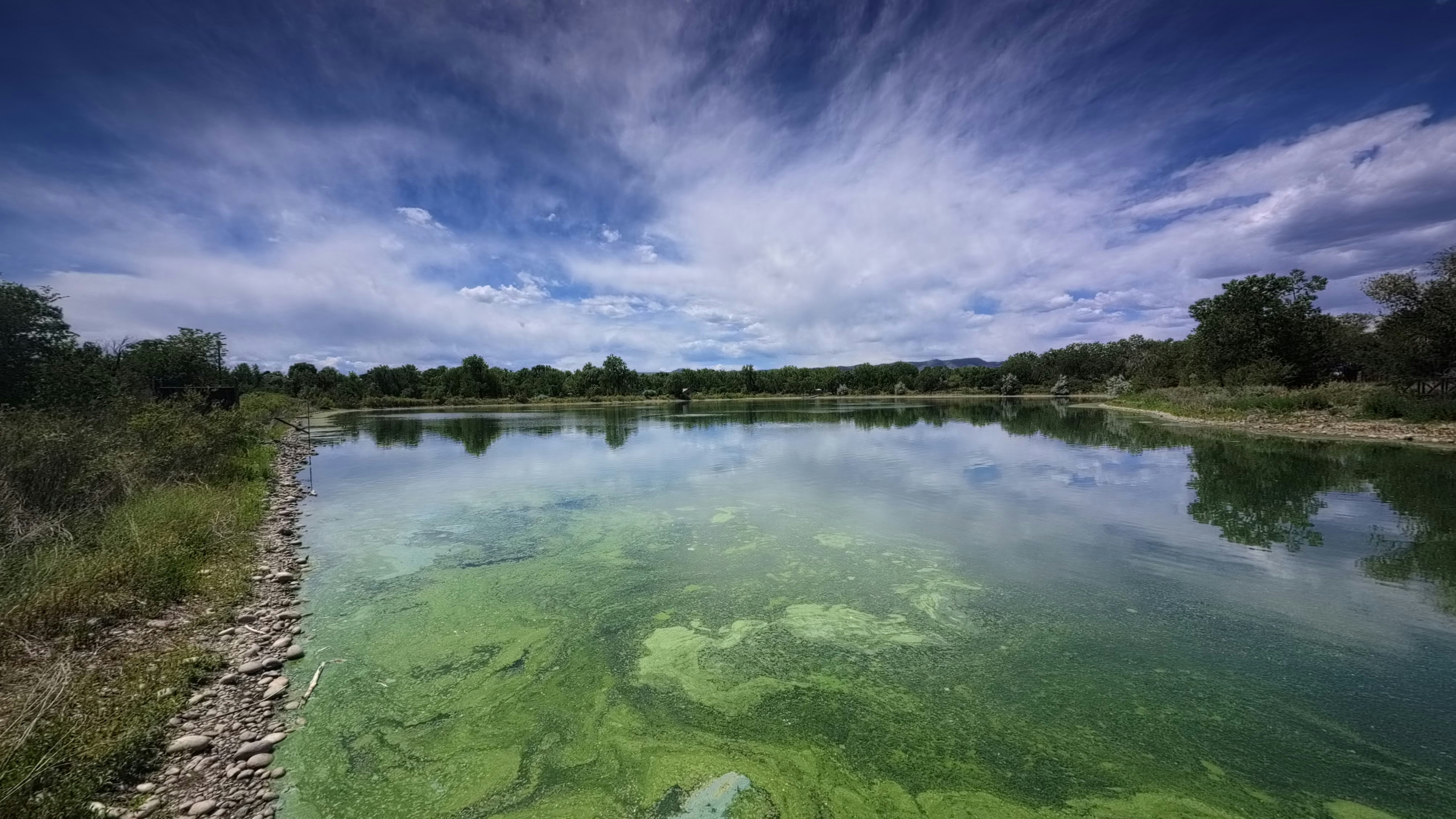 Emerald algae banks cradle a calm lake under a sweeping sky; a rocky shore lines the left while distant trees reflect in still water. (Photo) a wide natural scene.