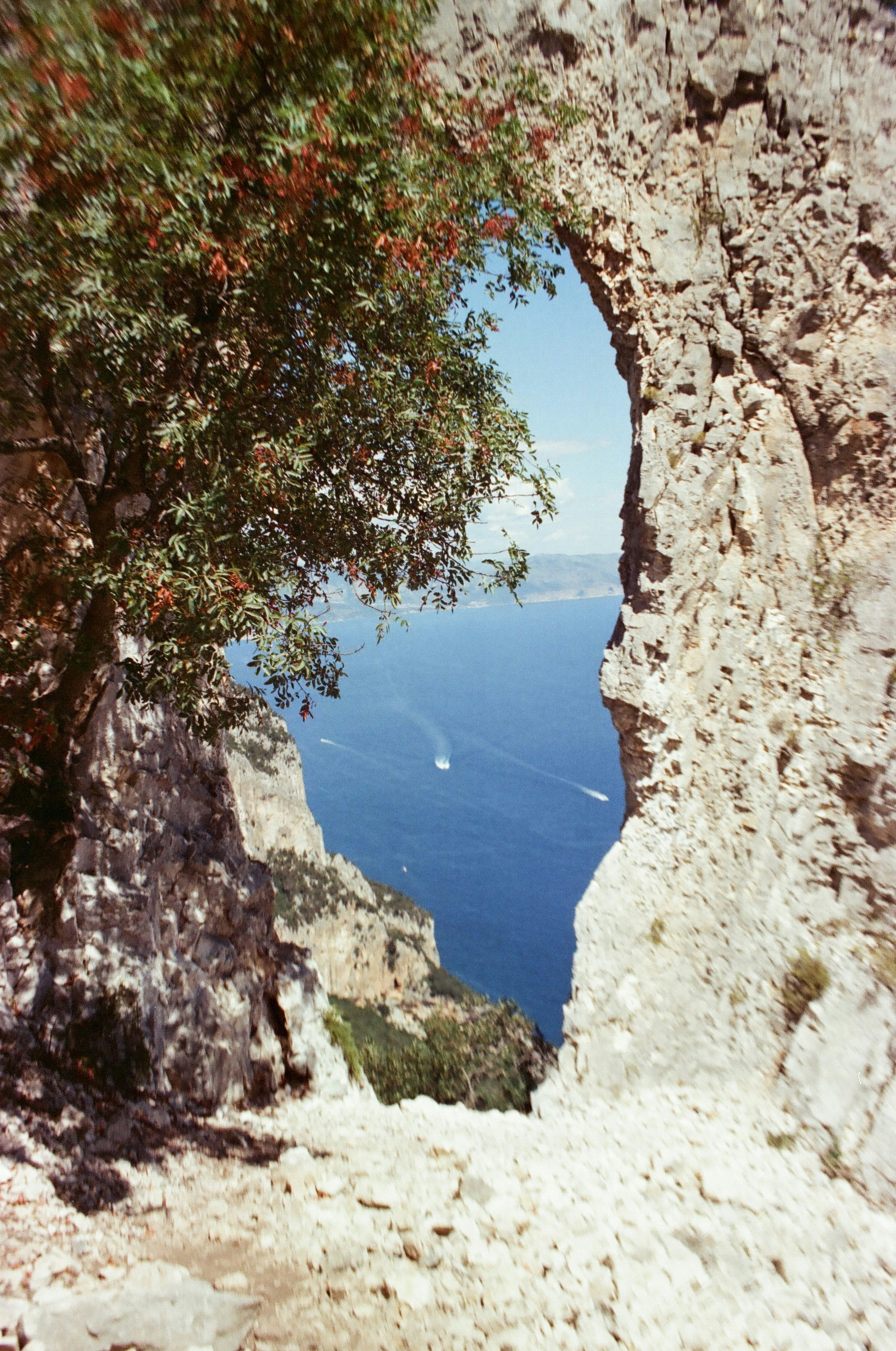 Ocean view through a natural rock arch with a tree