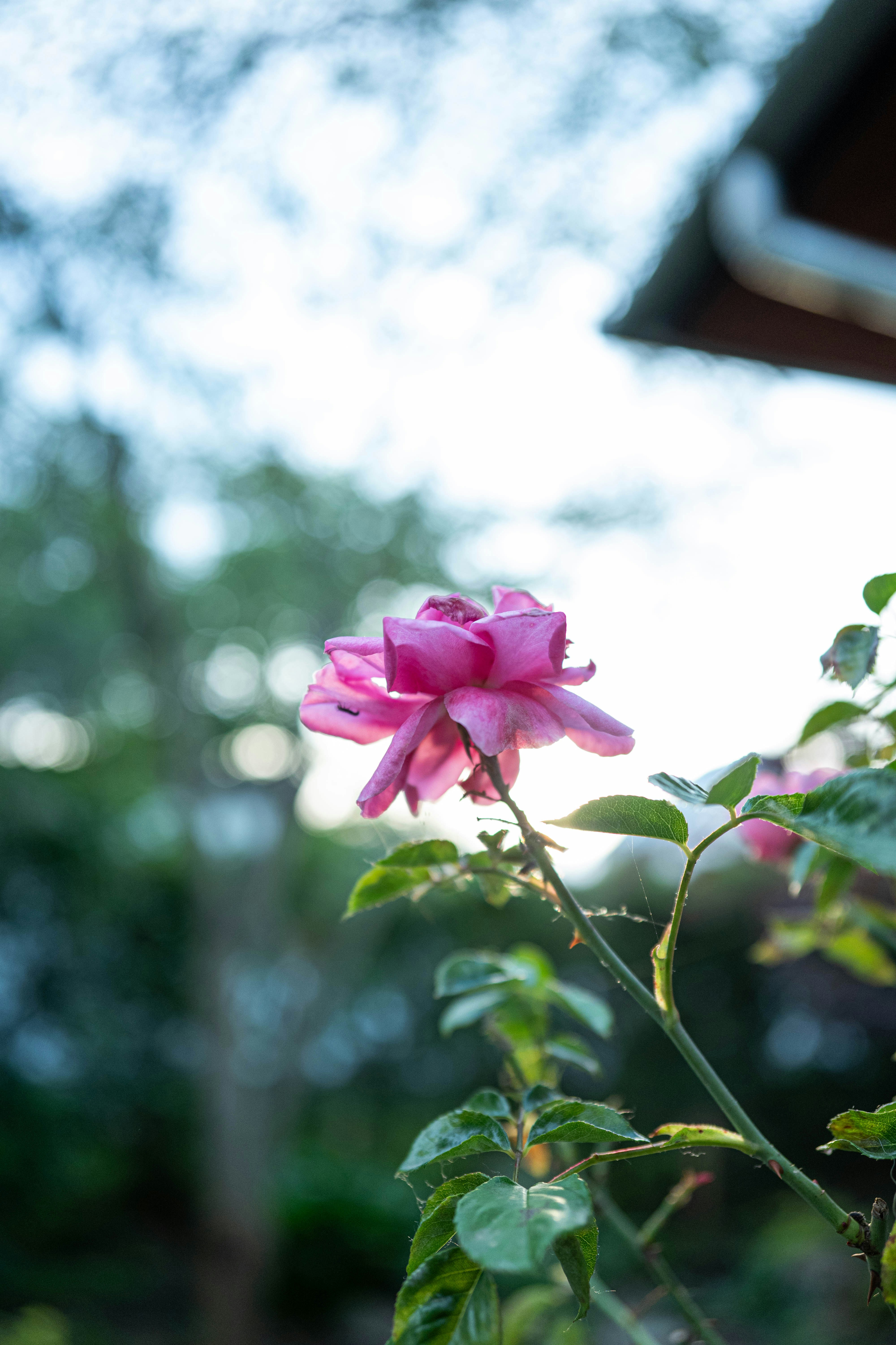 Photo by j0ke