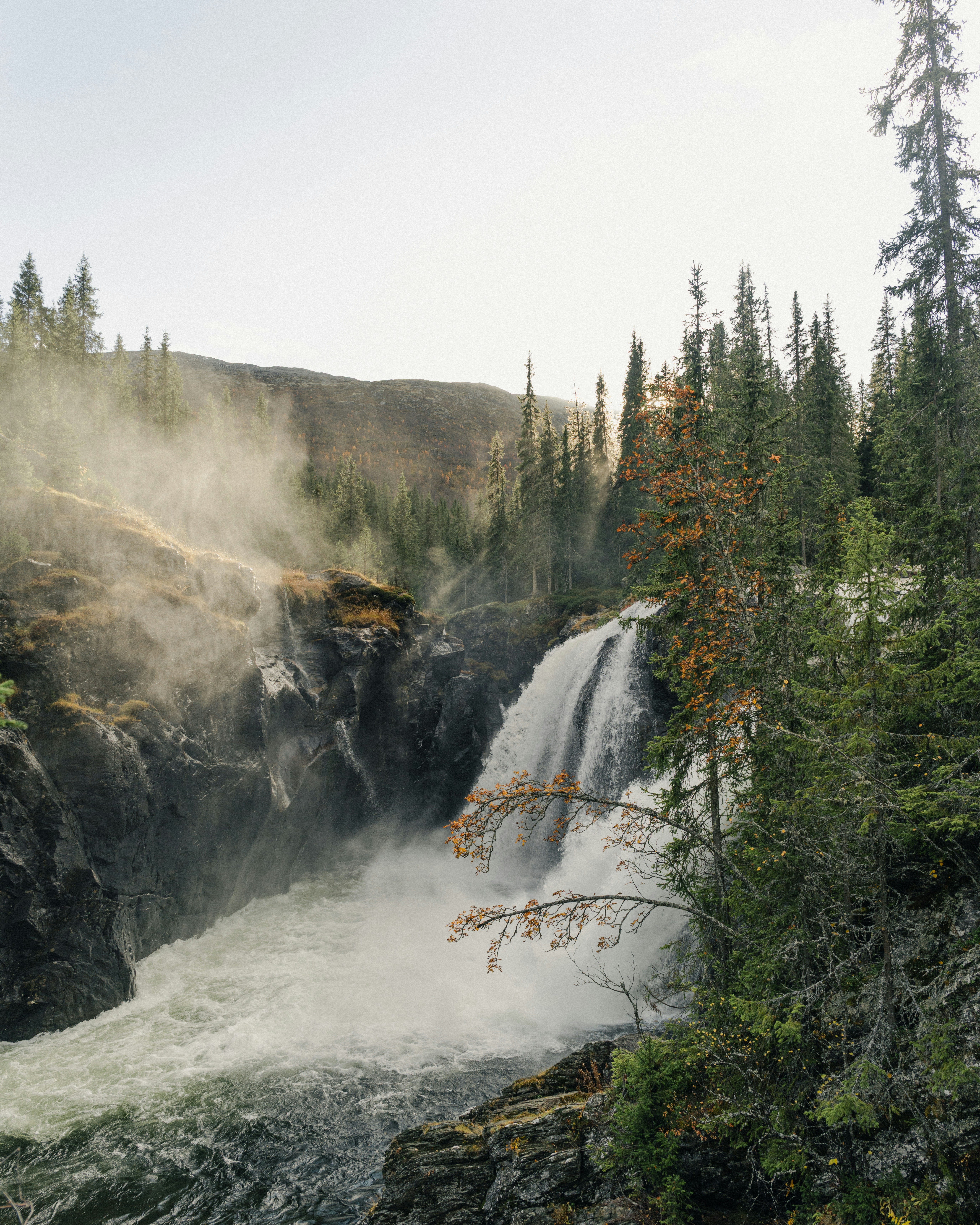 Una poderosa cascada atraviesa un paisaje boscoso brumoso.