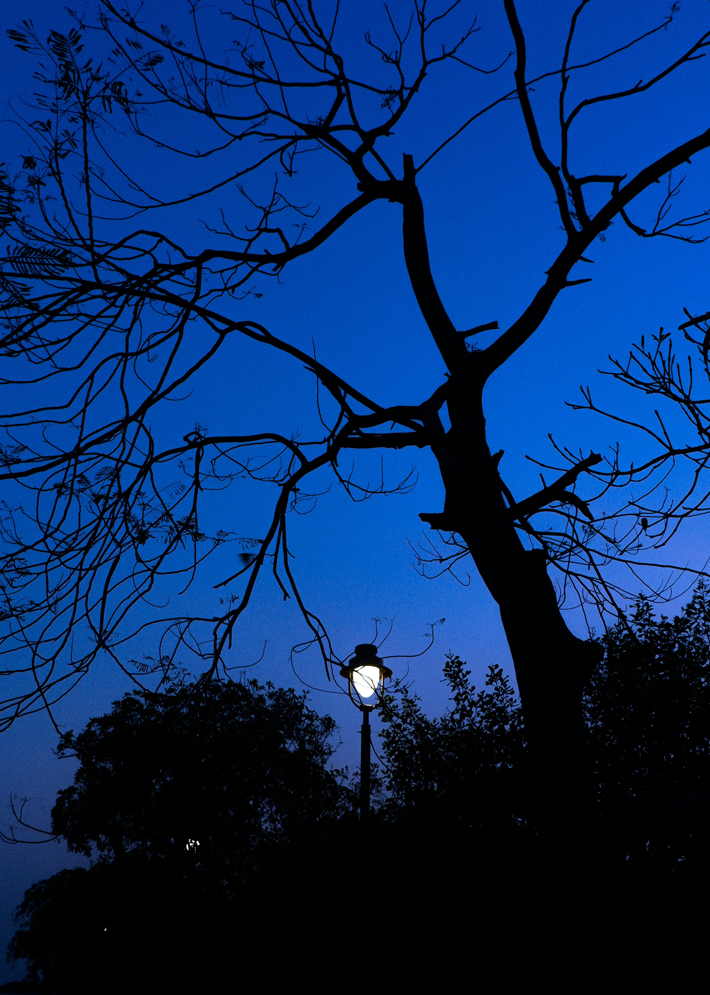 Photo by mahdi17