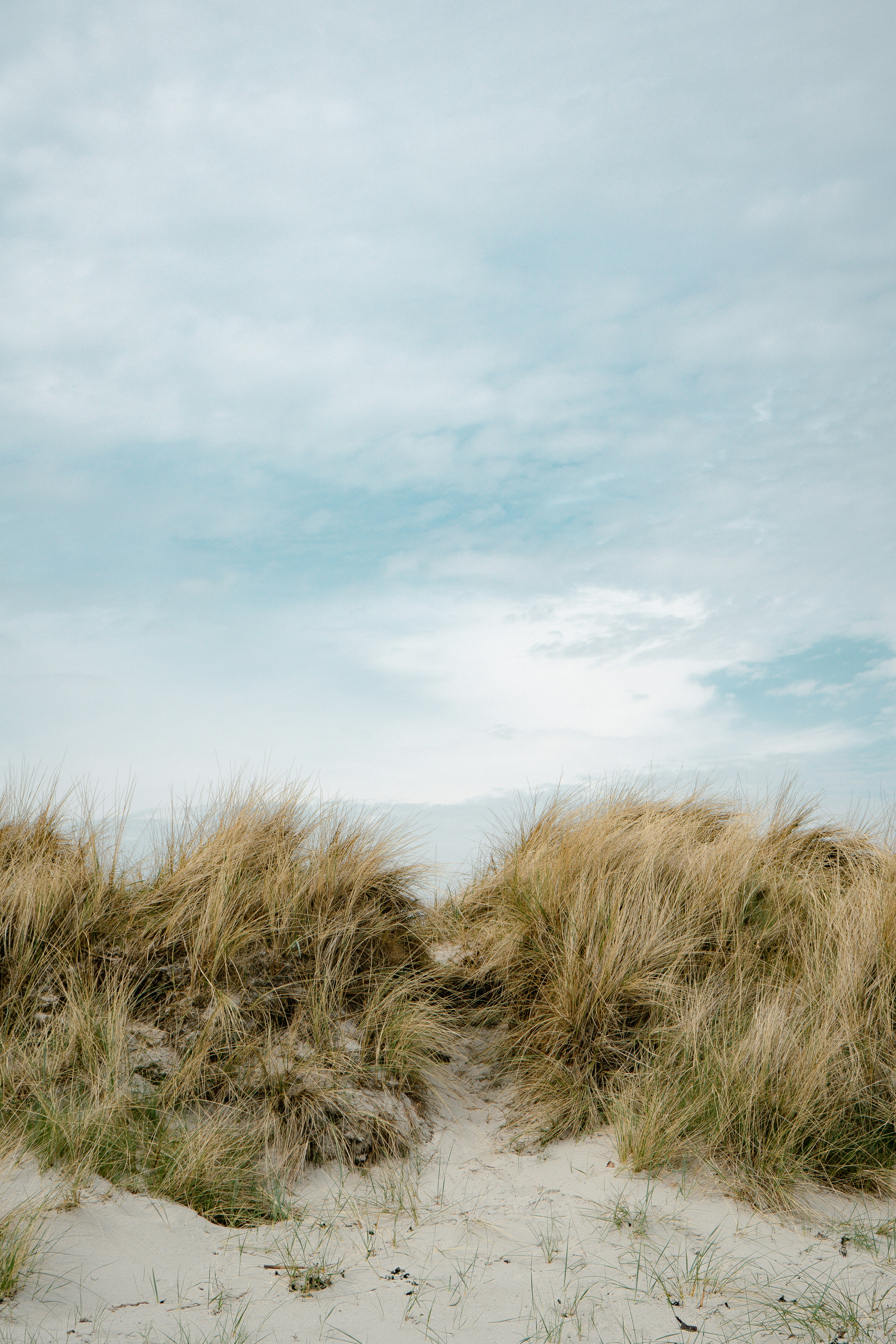 Photo by max_boehme