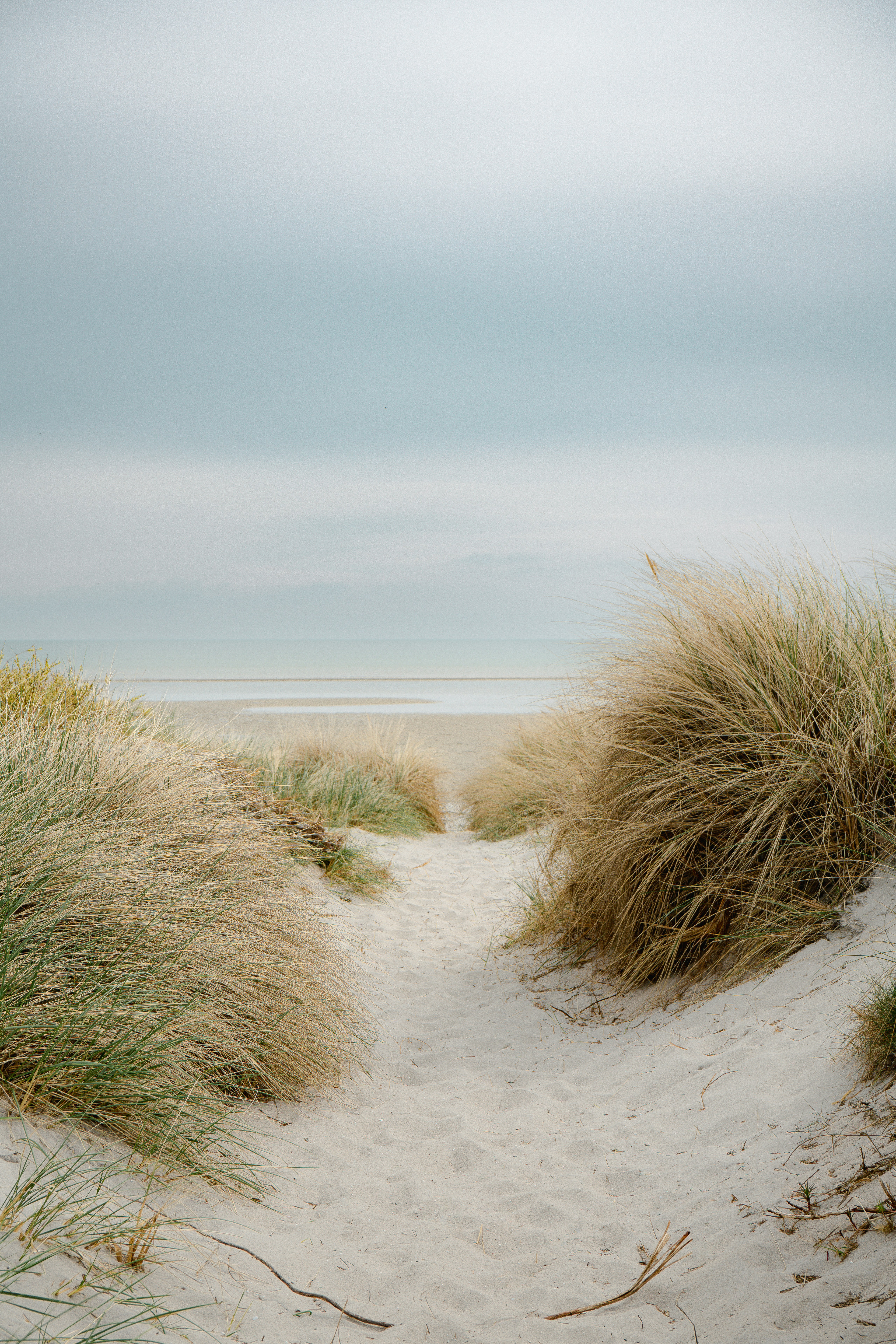 Photo by max_boehme