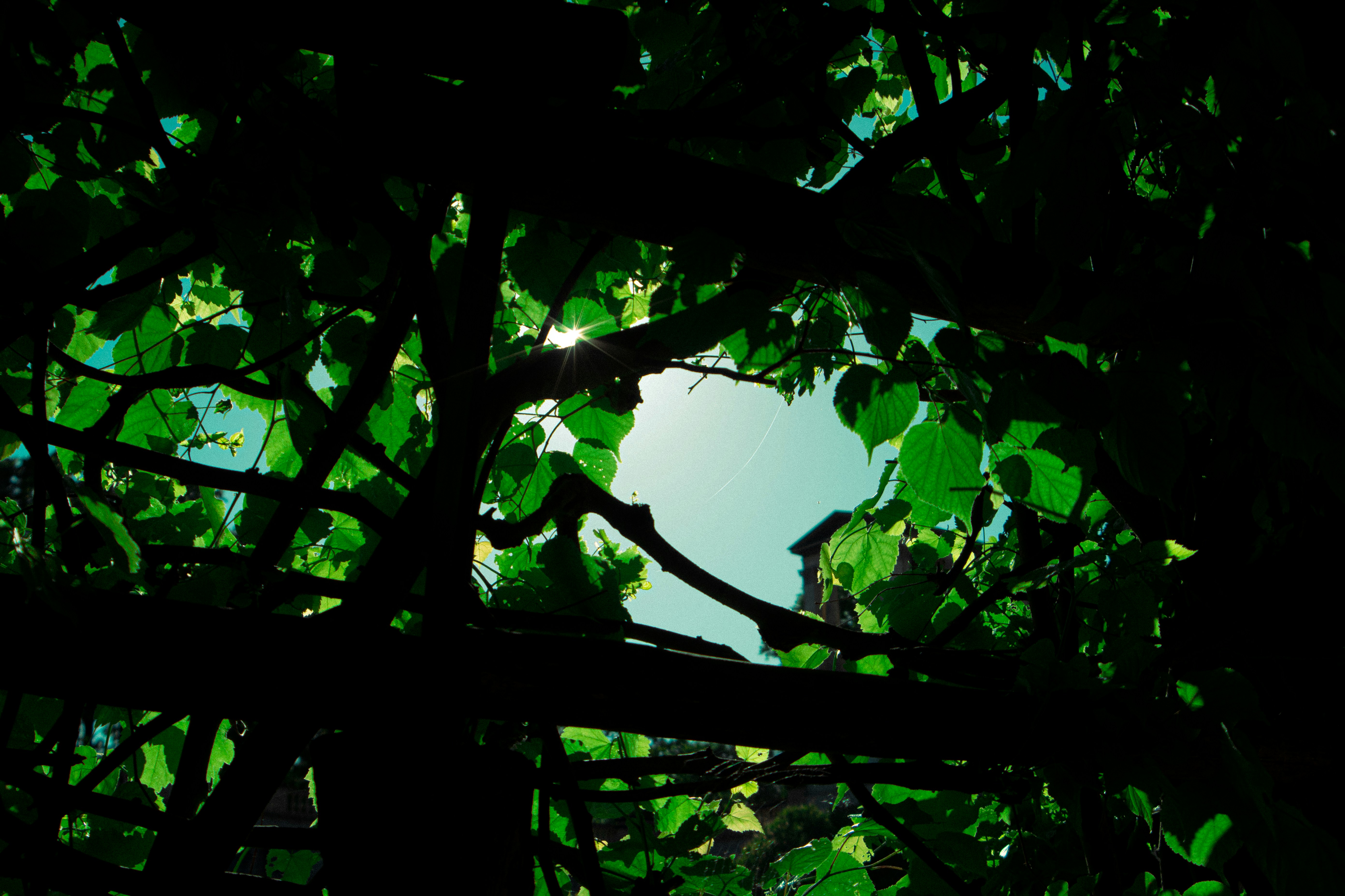 Photo by myrz6han