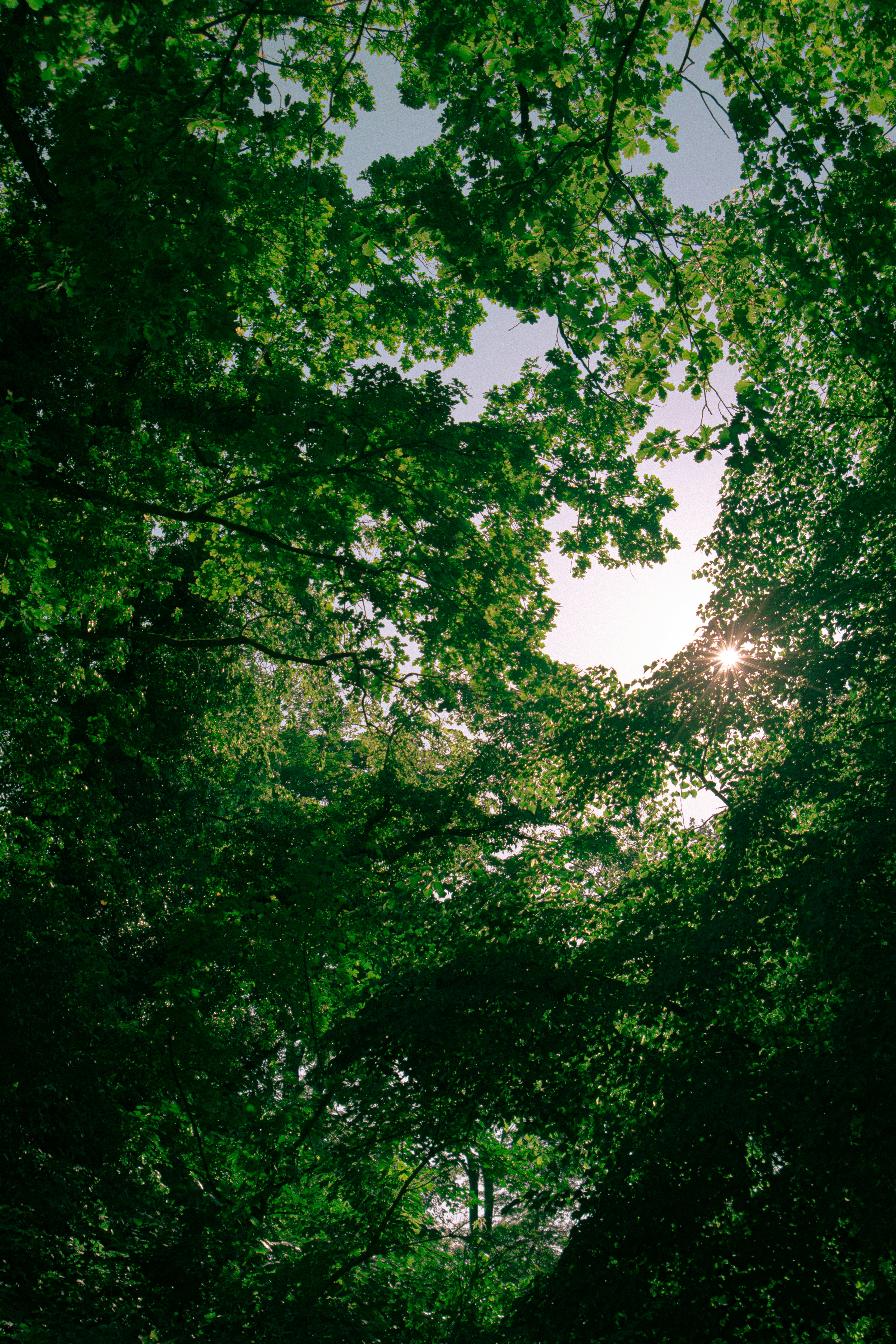 Photo by myrz6han