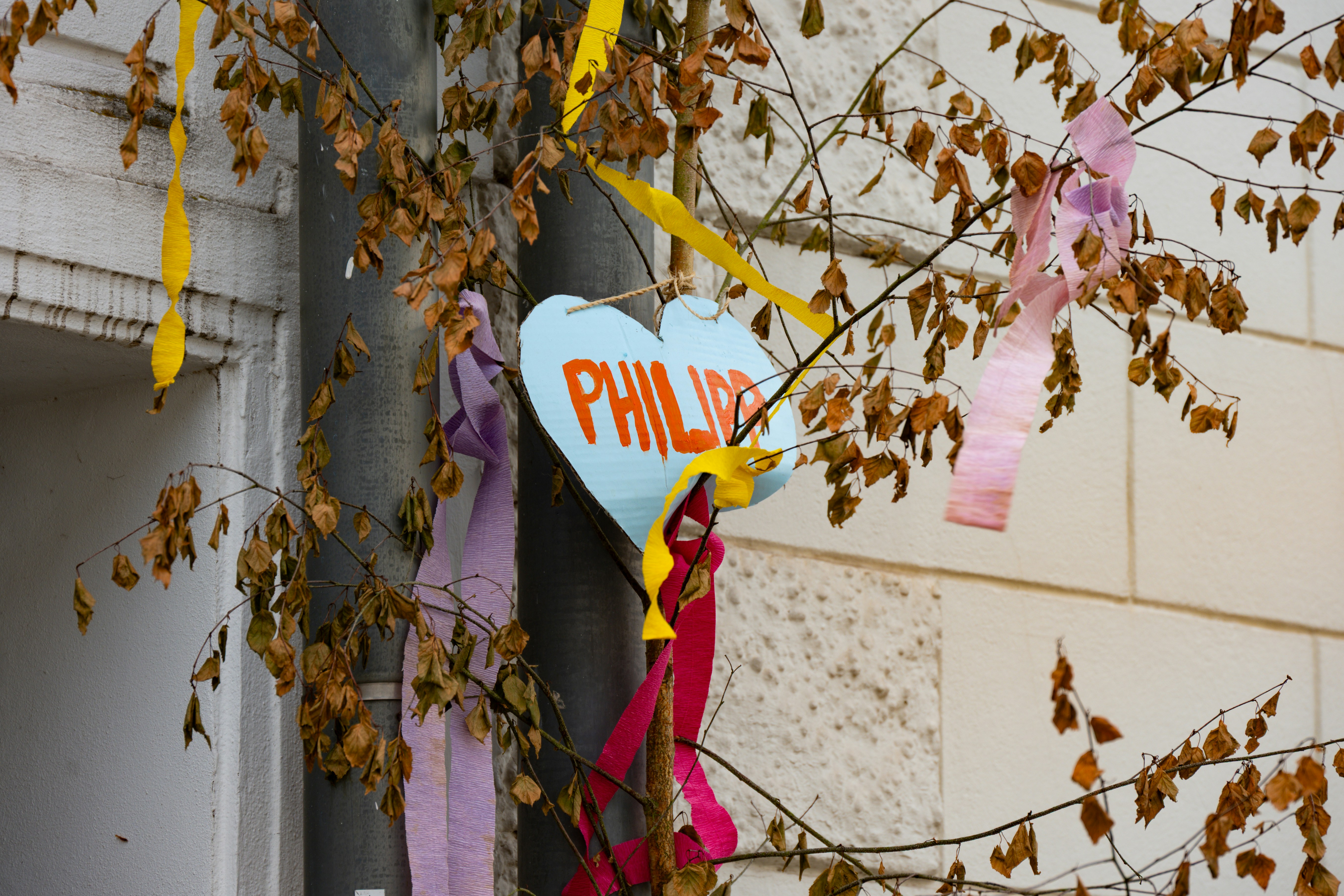 Light blue heart sign "philip" on tree with colorful ribbons.