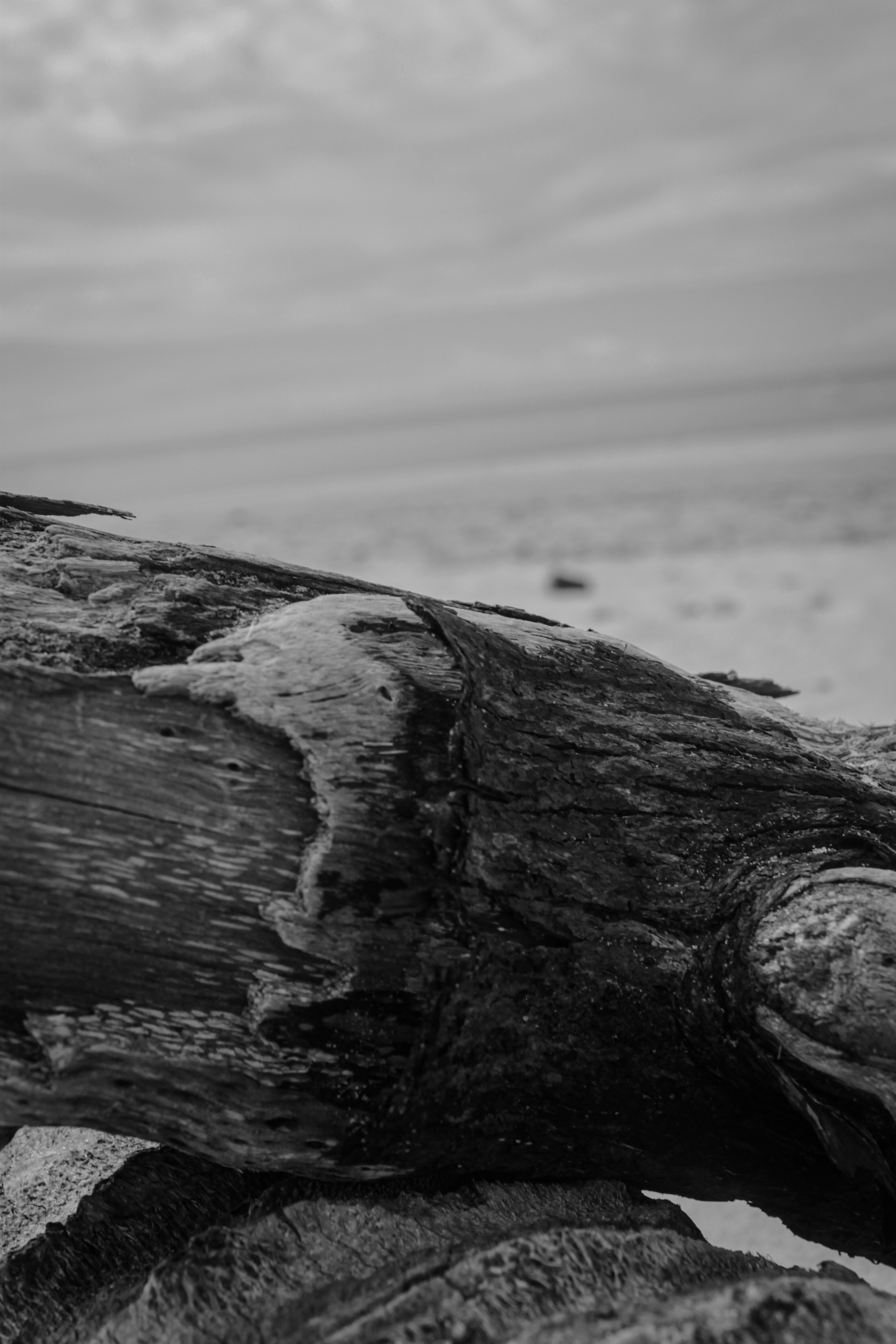 Photo by iagoseo