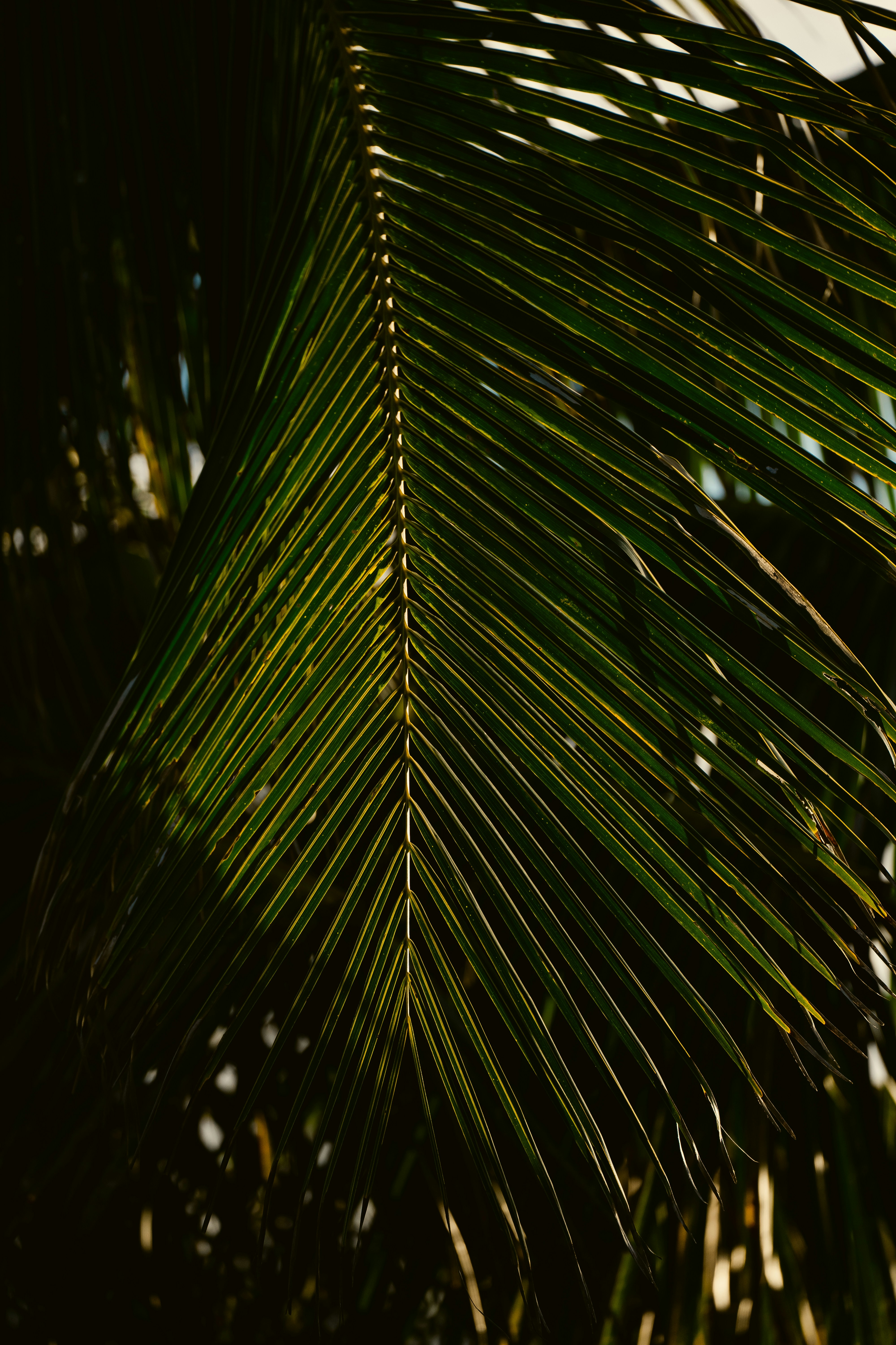 Photo by itstarynnnn