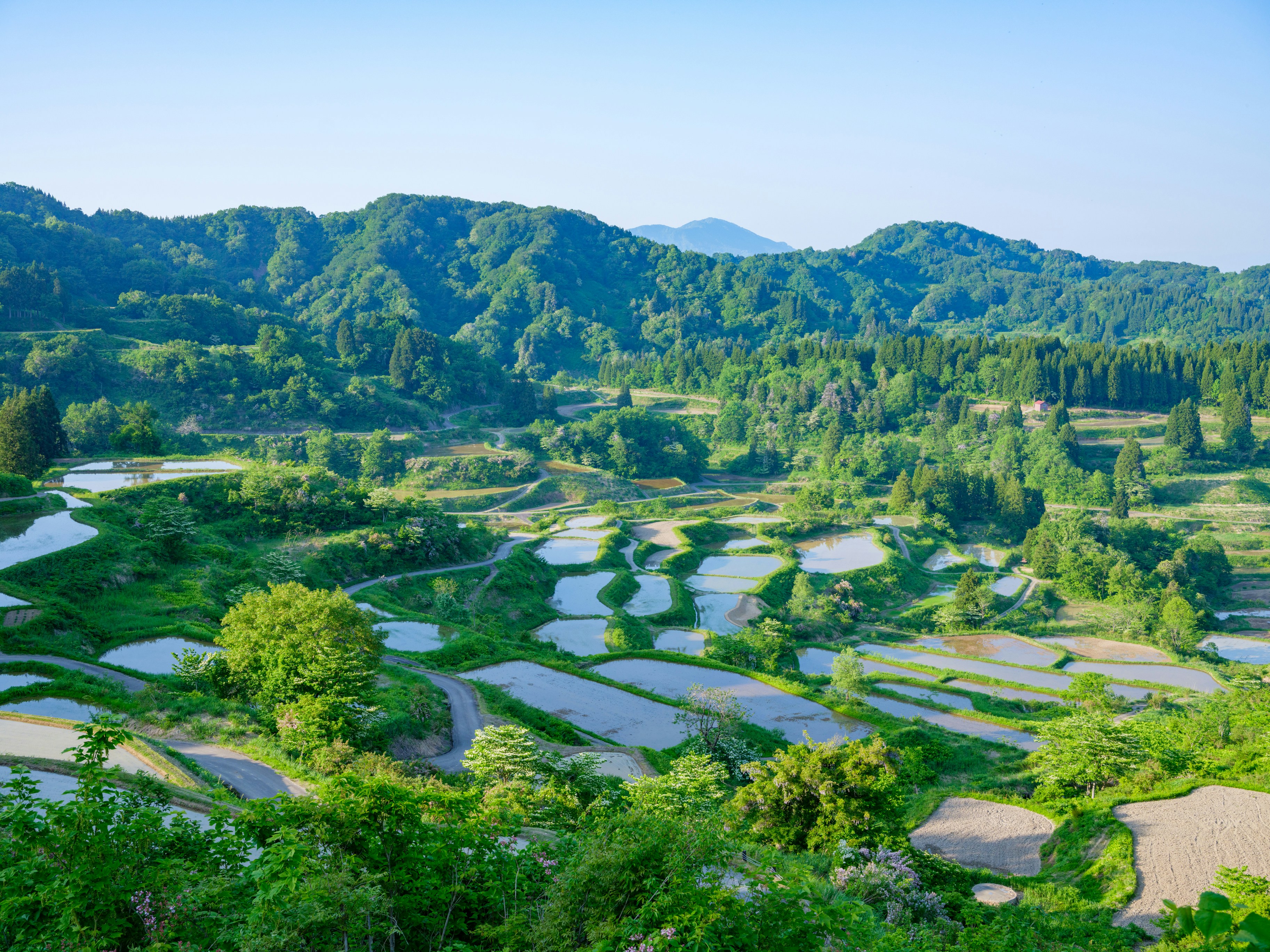 Terraced rice fields among lush green mountains under clear sky.