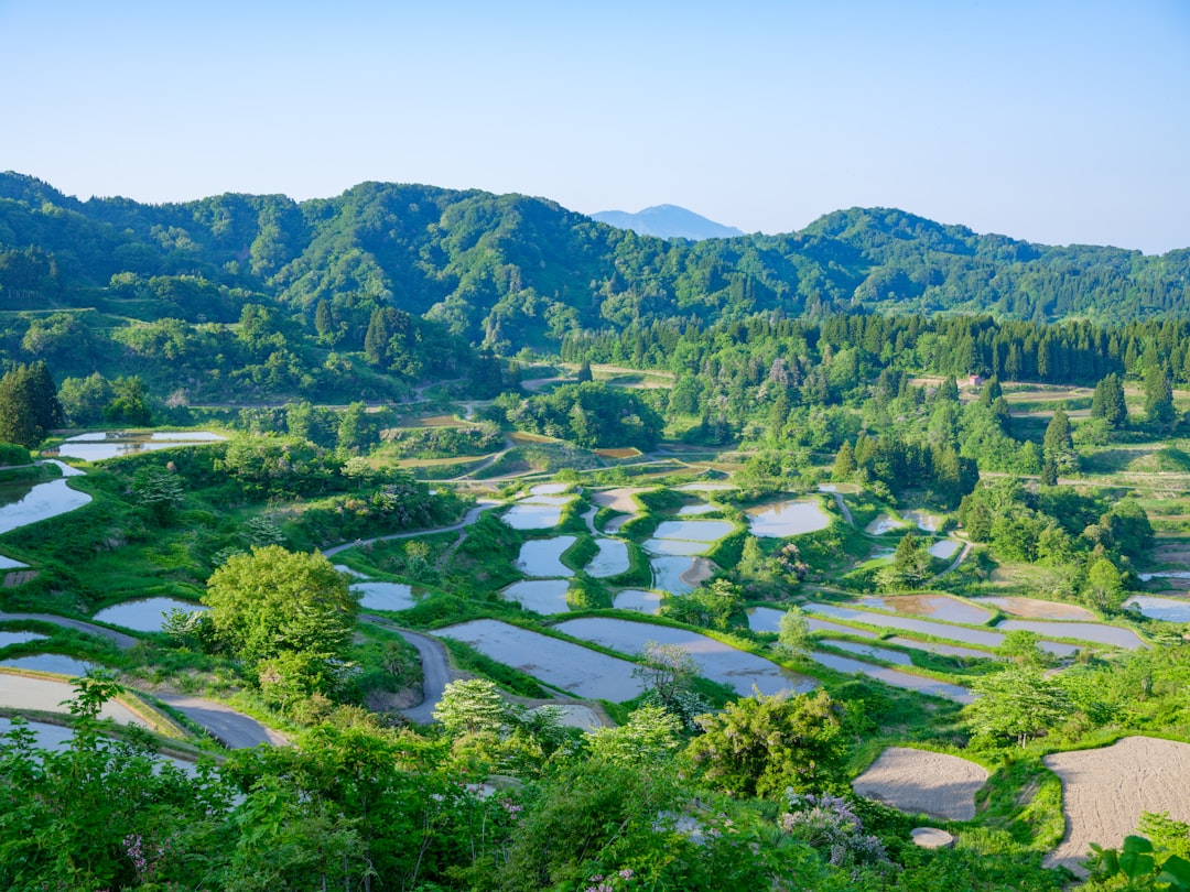 Tokamachi City Matsudai (十日町市松代ファミリースキー場)