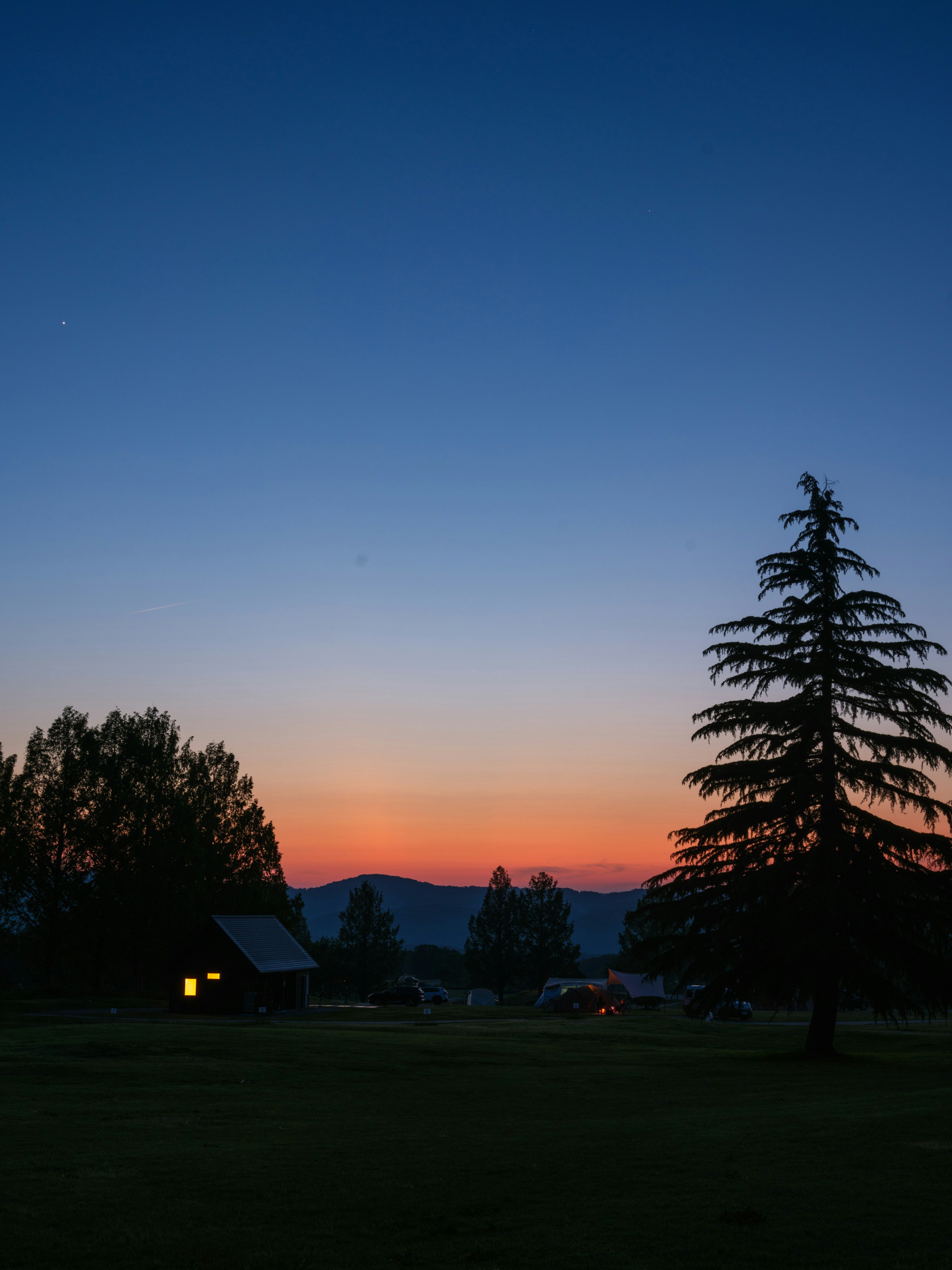 Twilight scene with a prominent pine tree and glowing cabin.