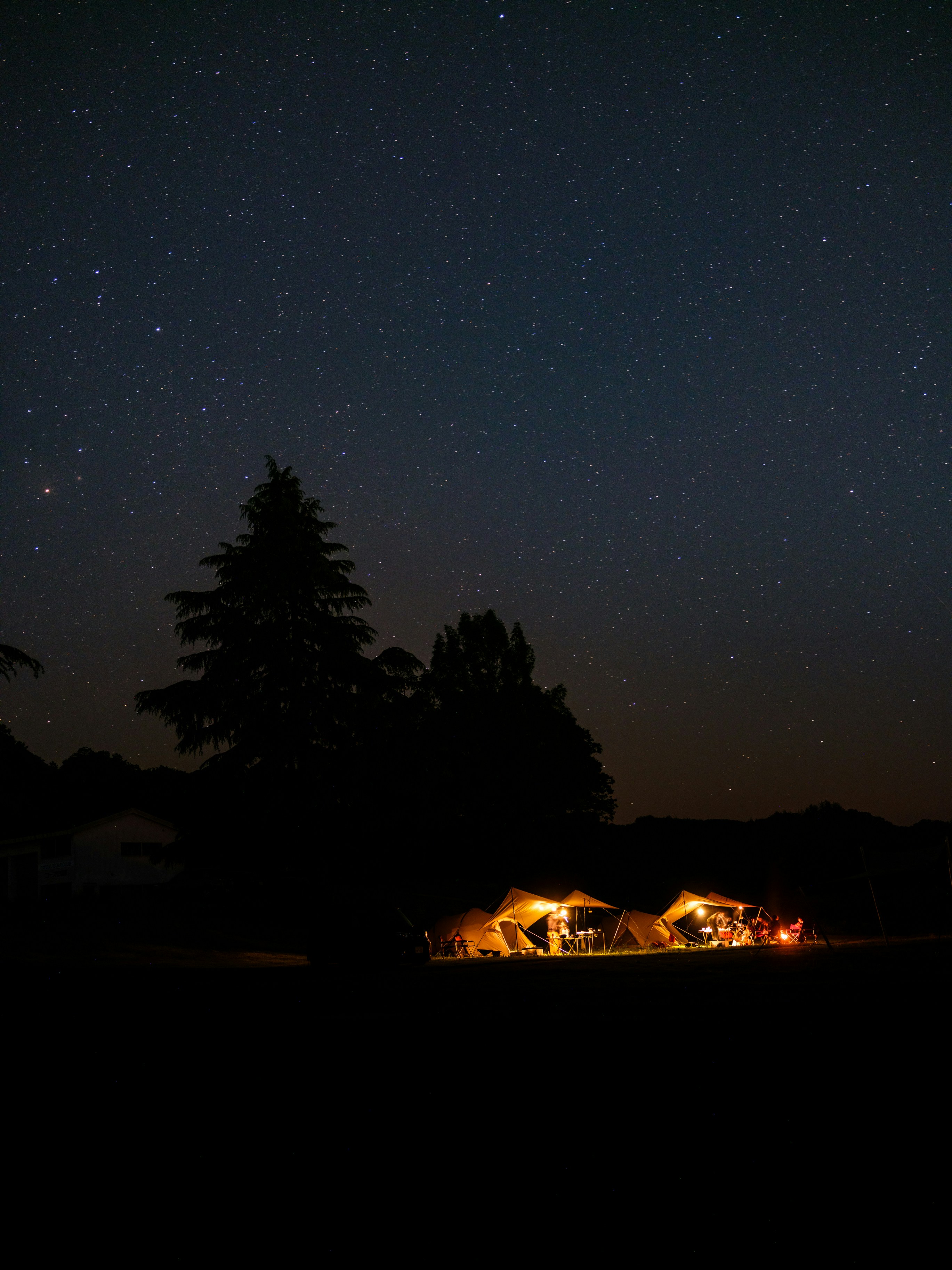 Photo by nichiyoshi