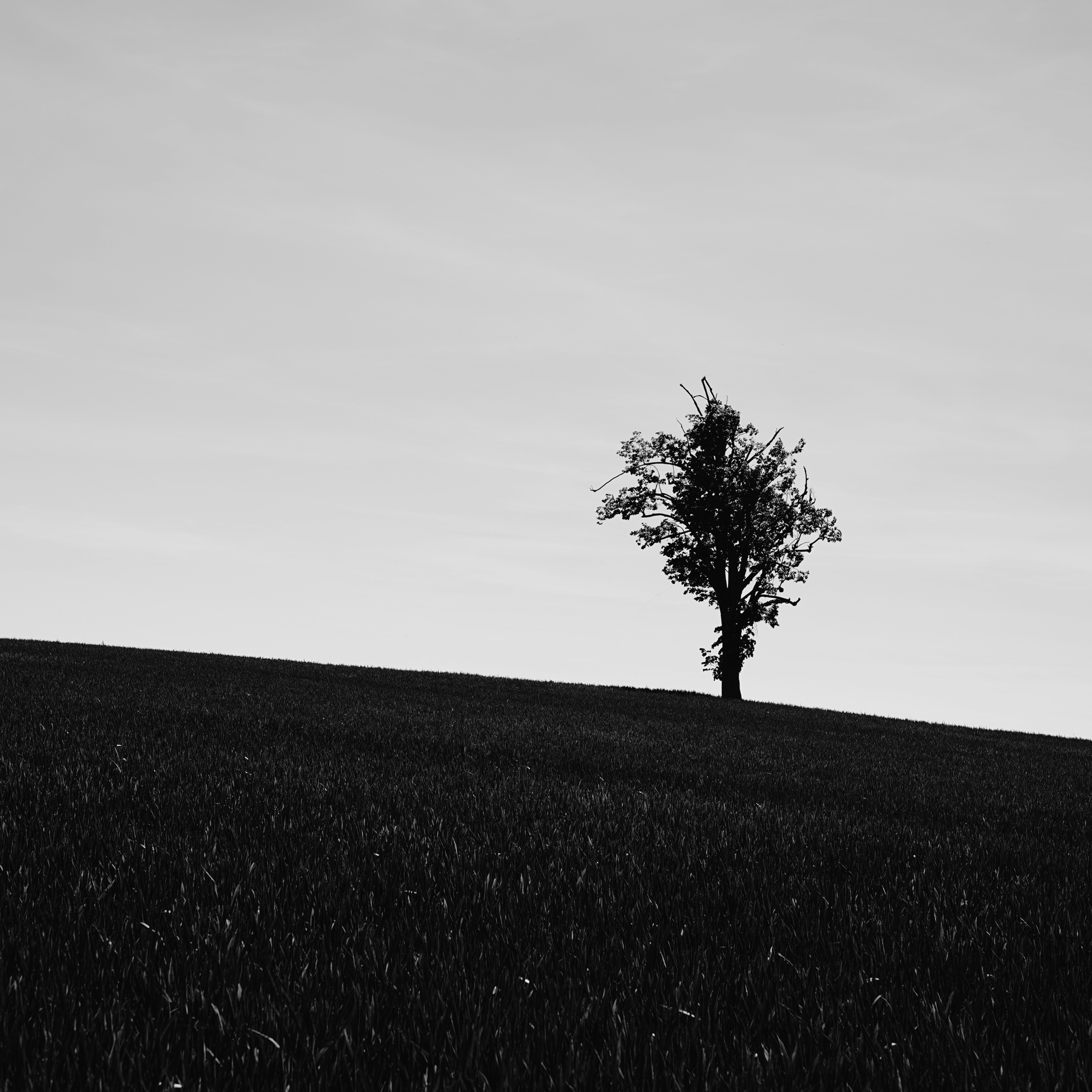 Photo by mikehindle