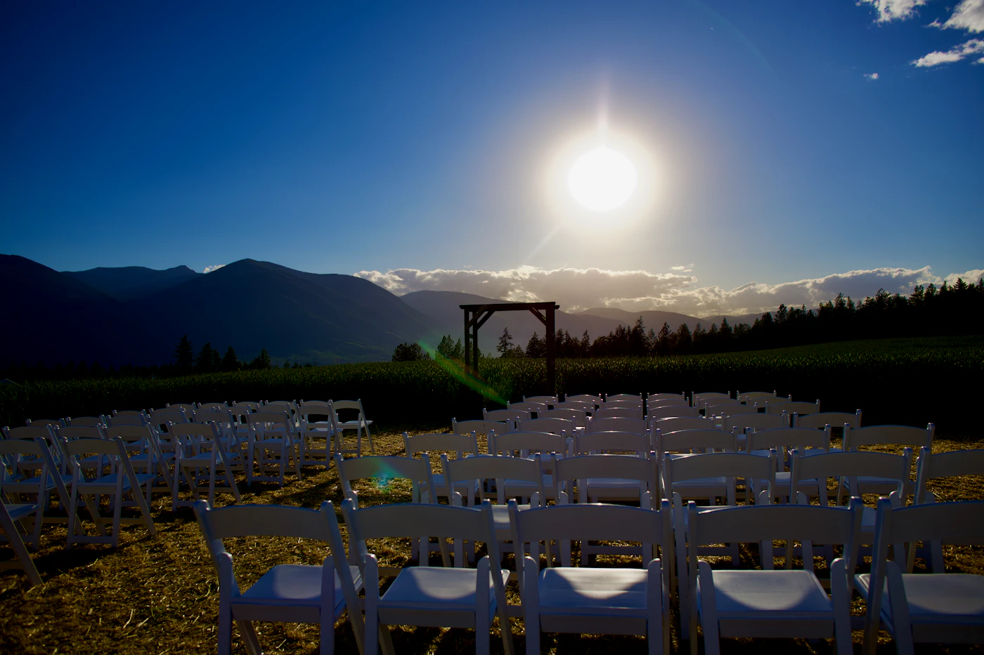 Sunrise wedding ceremony timing and photography tips — Soft morning light illuminates a bride's portrait during a sunrise wedding.