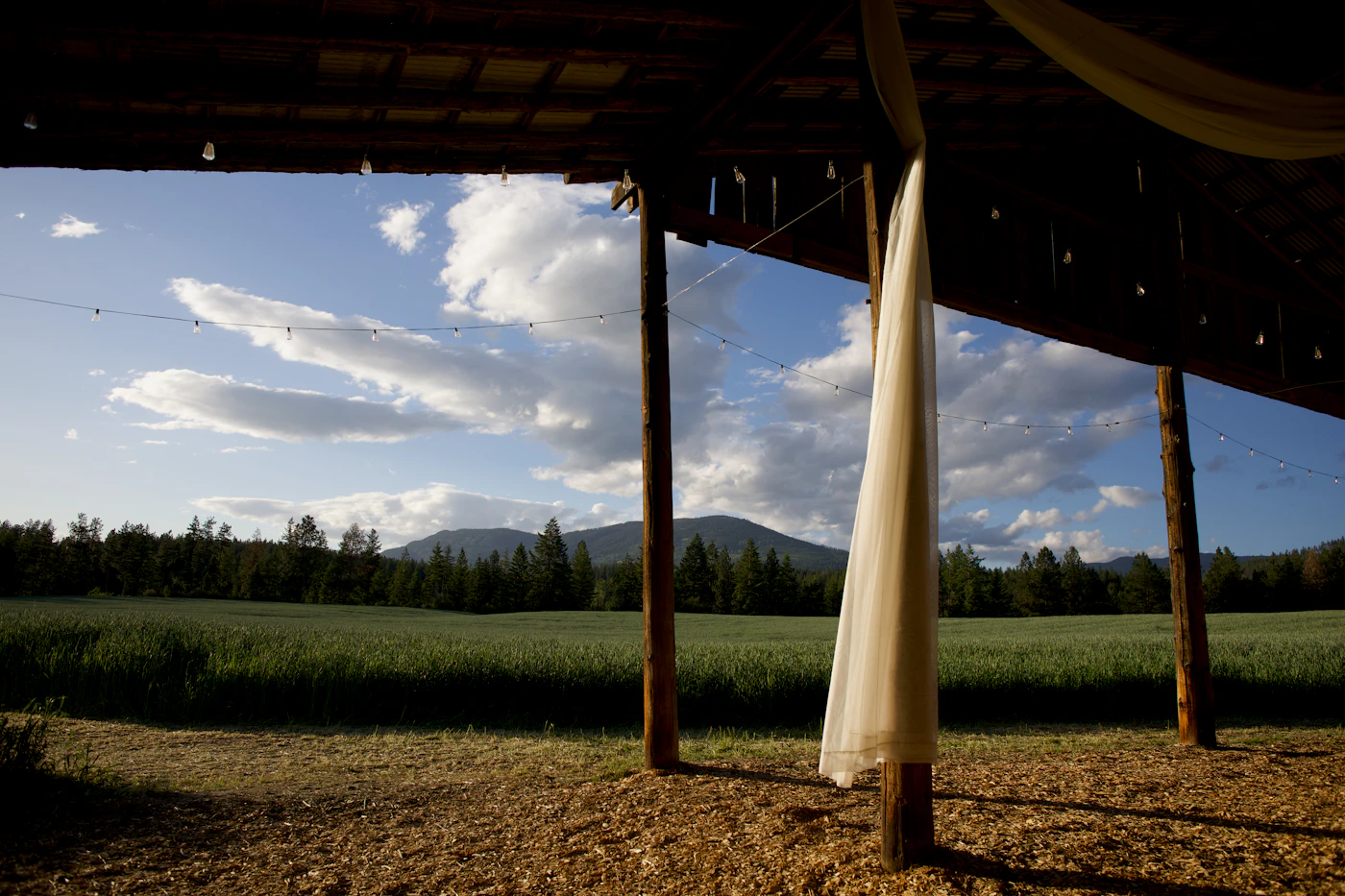 Svatba na jižní Moravě: vinařství, sklepy a zámky