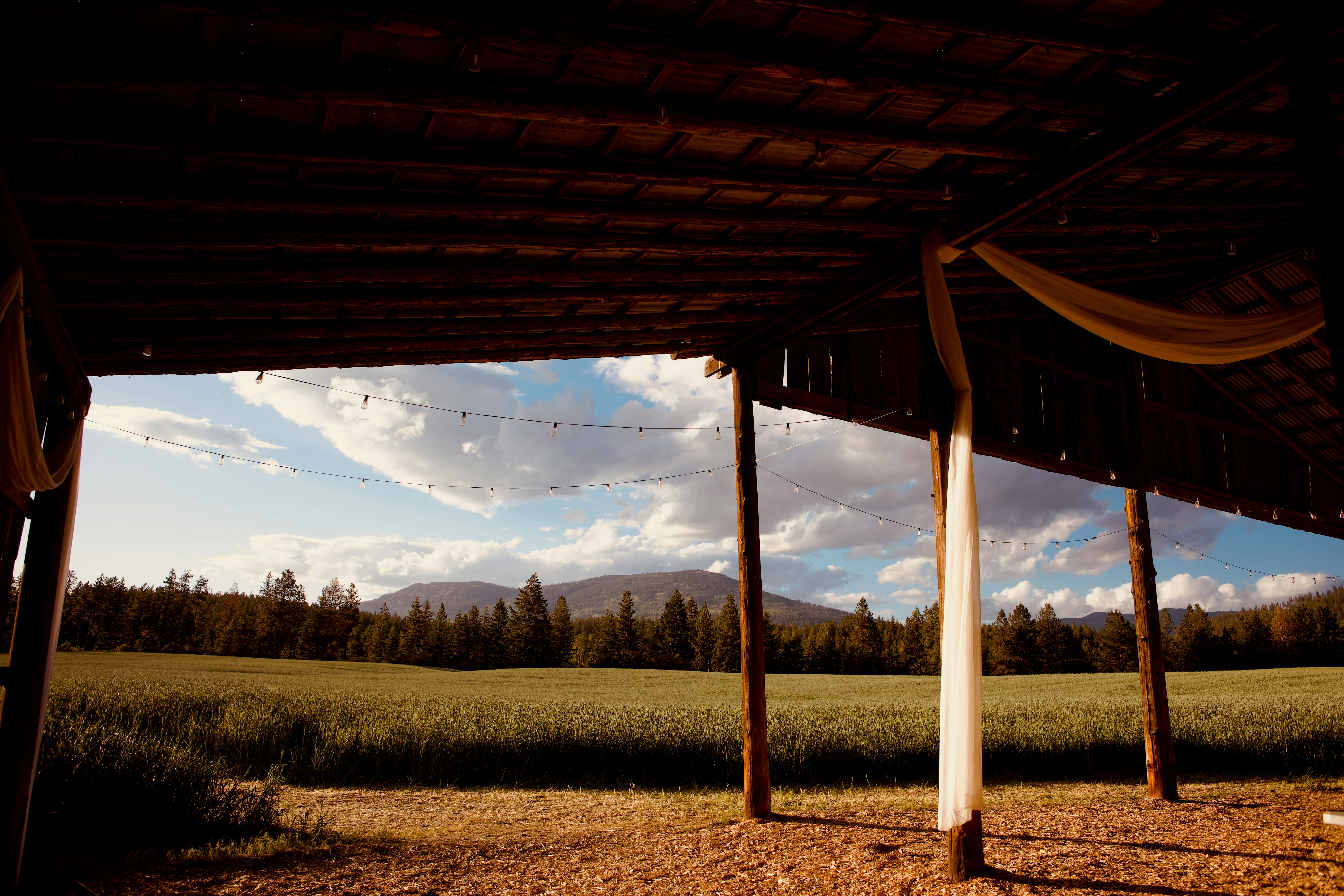 Rustic barn view of green field, distant forest, and mountains.