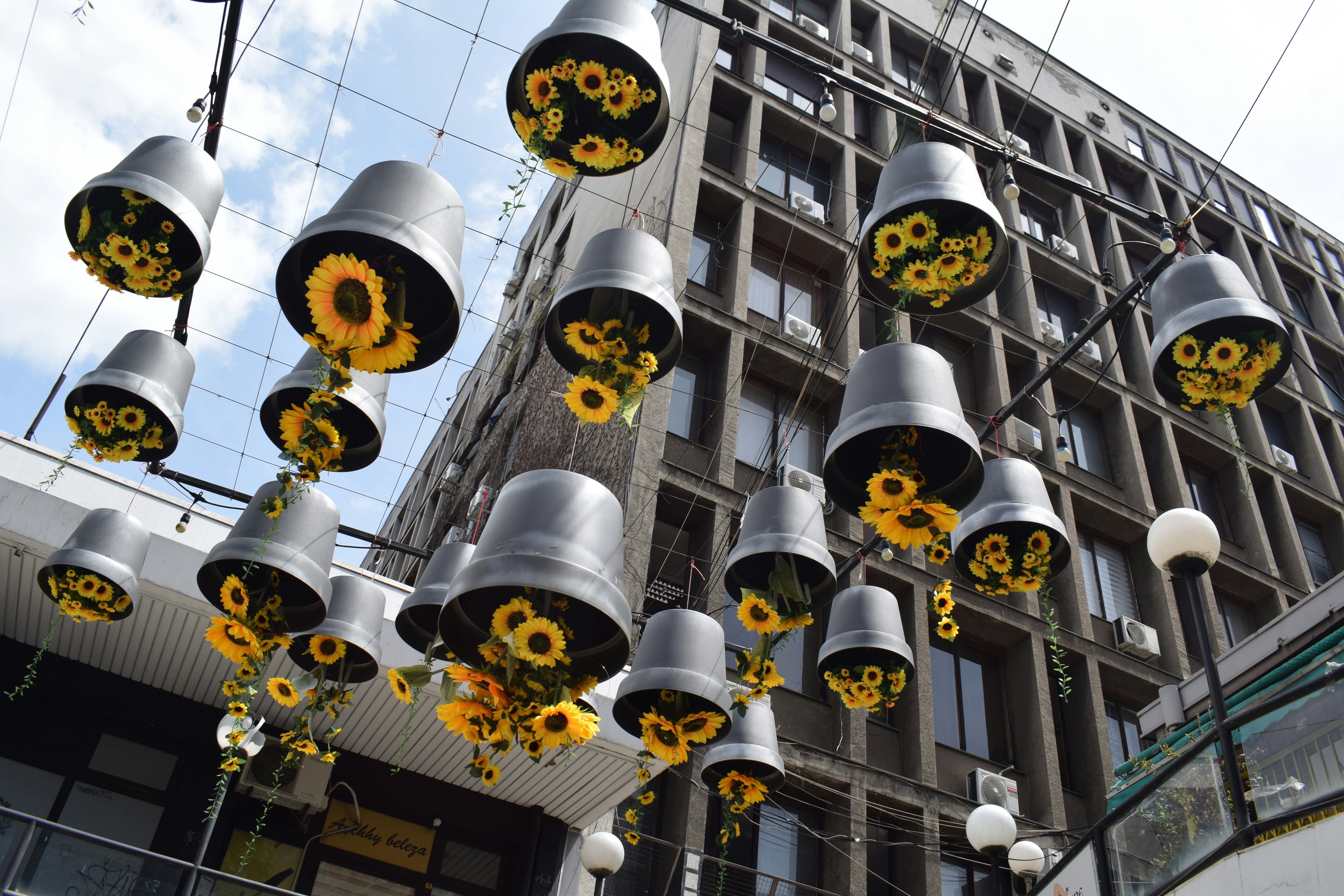 Girassóis decorativos em vasos suspensos adornam uma rua da cidade.