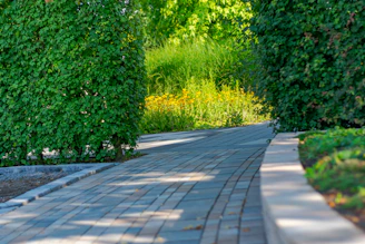 Paved brick pathway winding through lush green garden