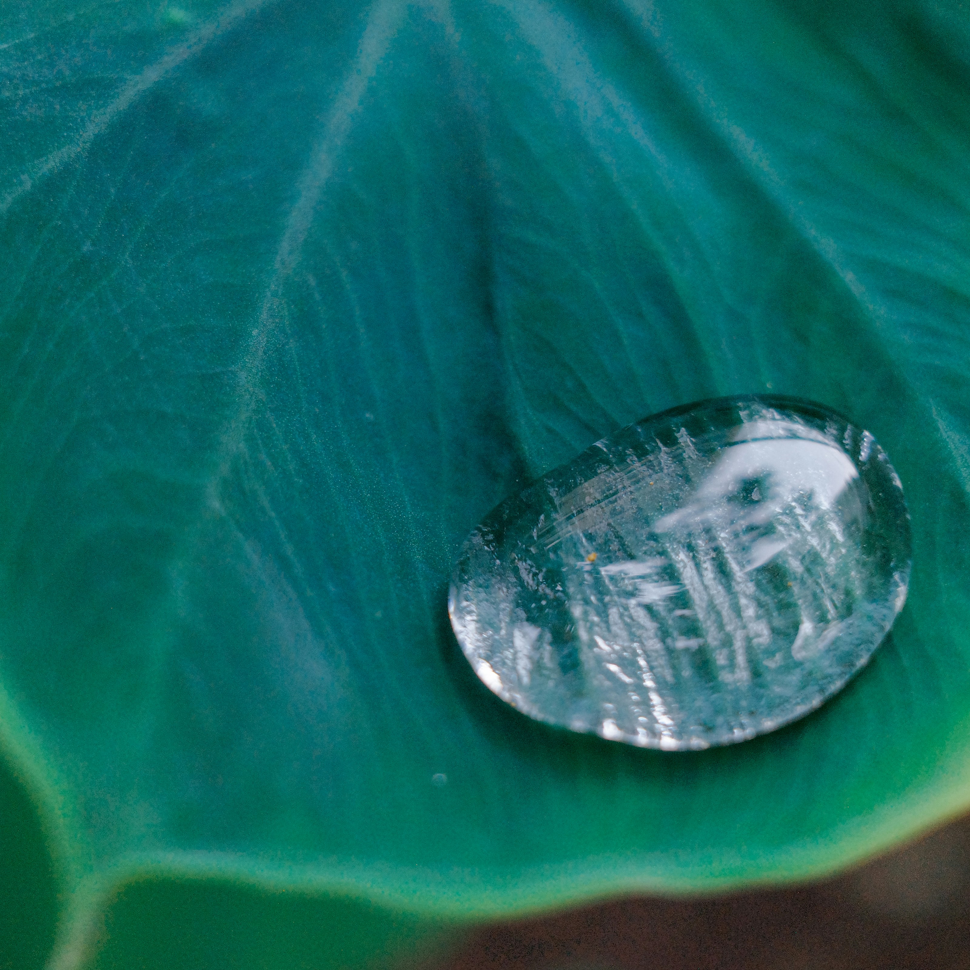 Water droplet with internal patterns on a green leaf.