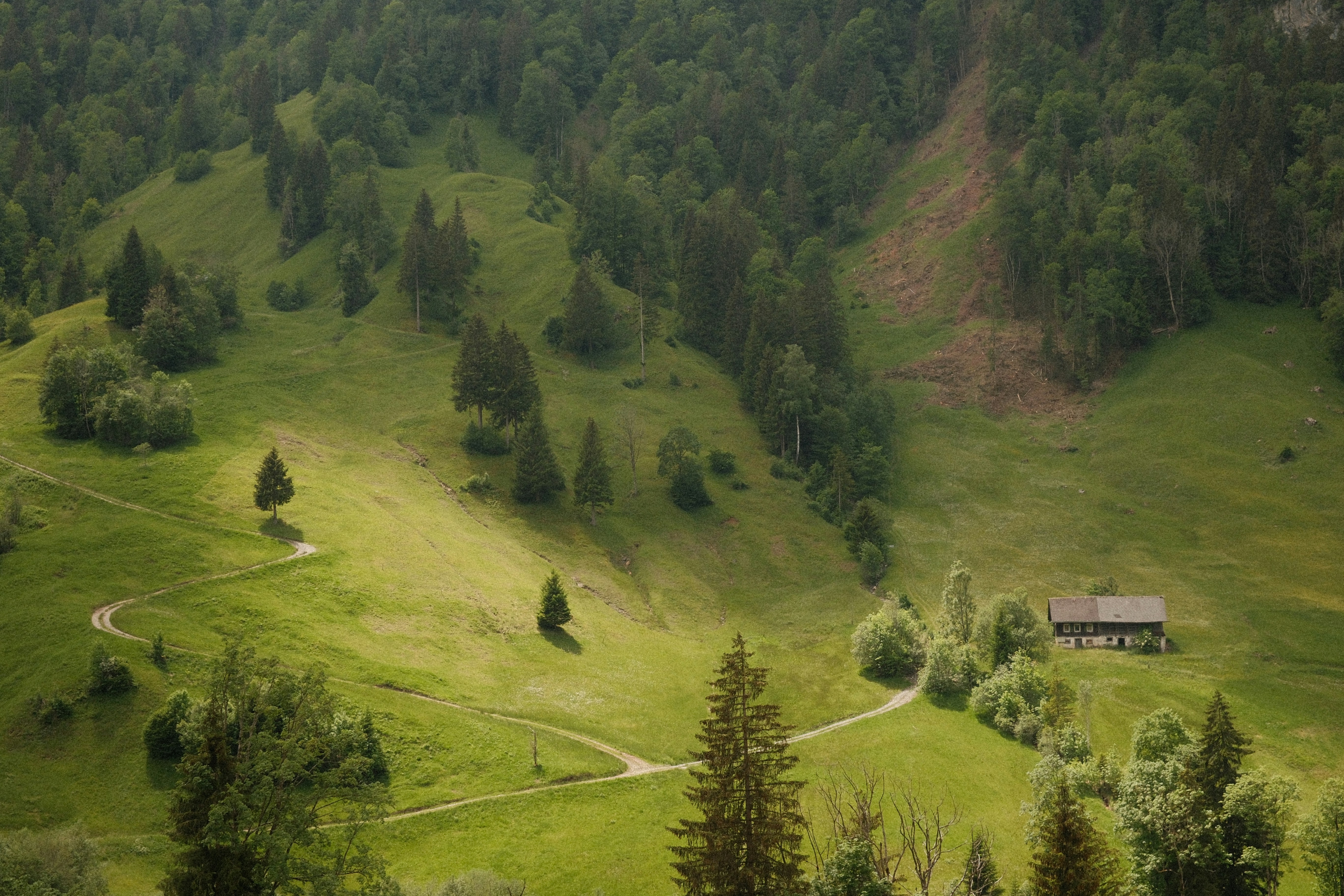Photo by idbronskiy
