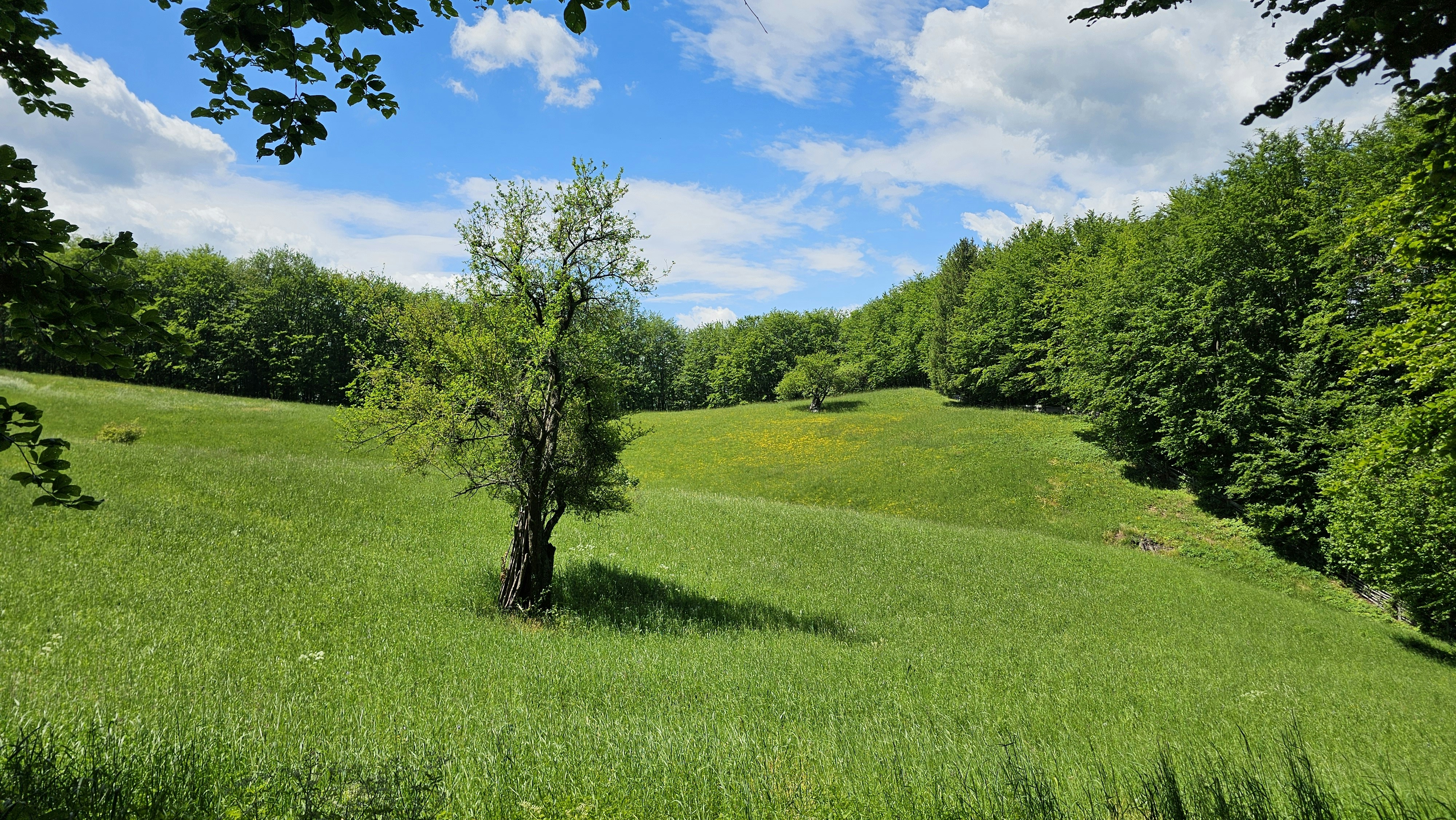 Photo by purebrasov