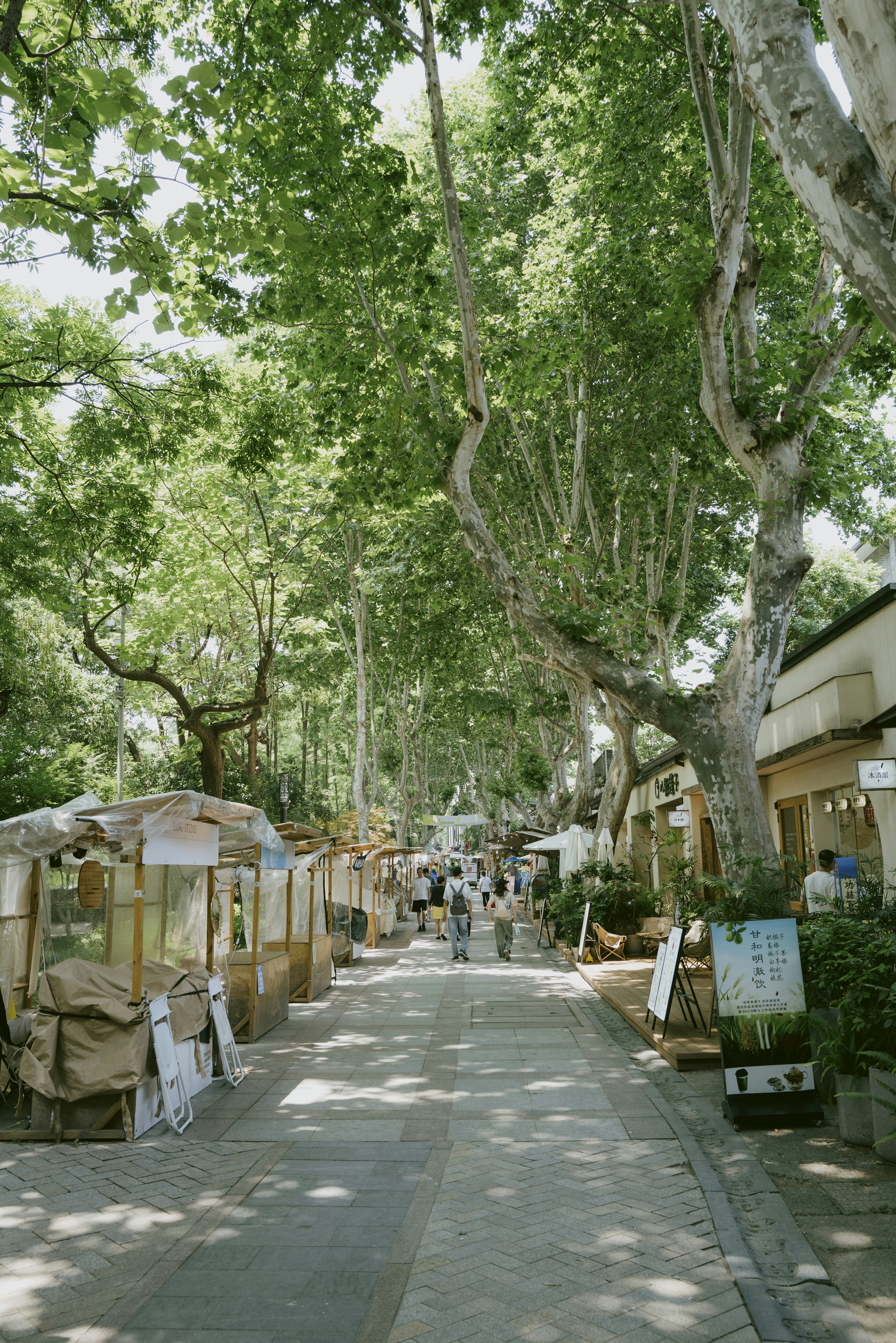 A tree-lined street with market stalls and people walking.