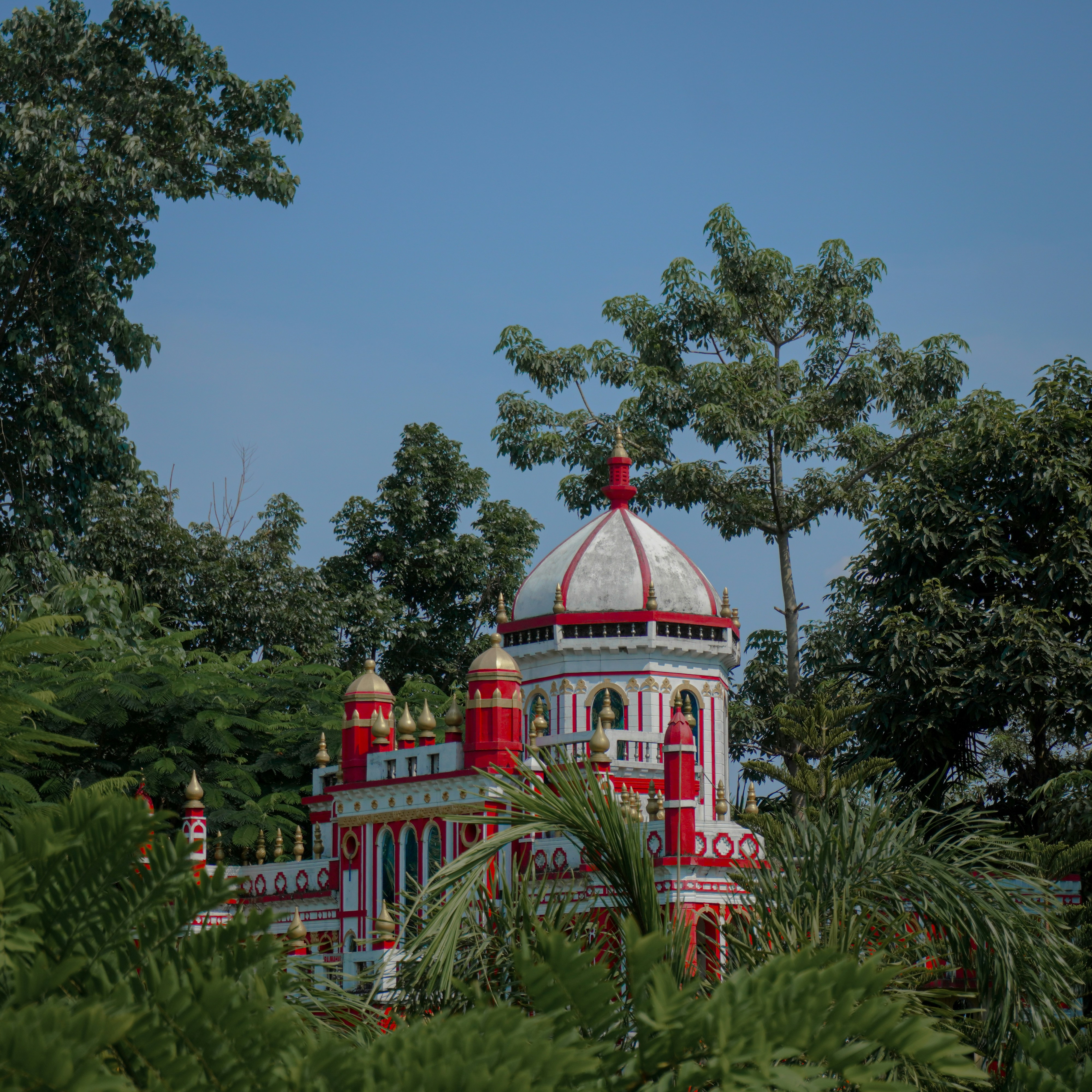 Photo by bittu_bishwakarma