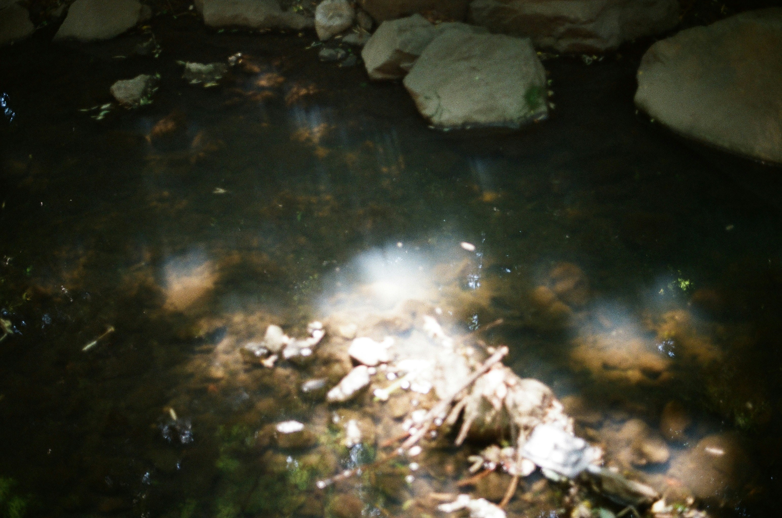 Photo by jomeh