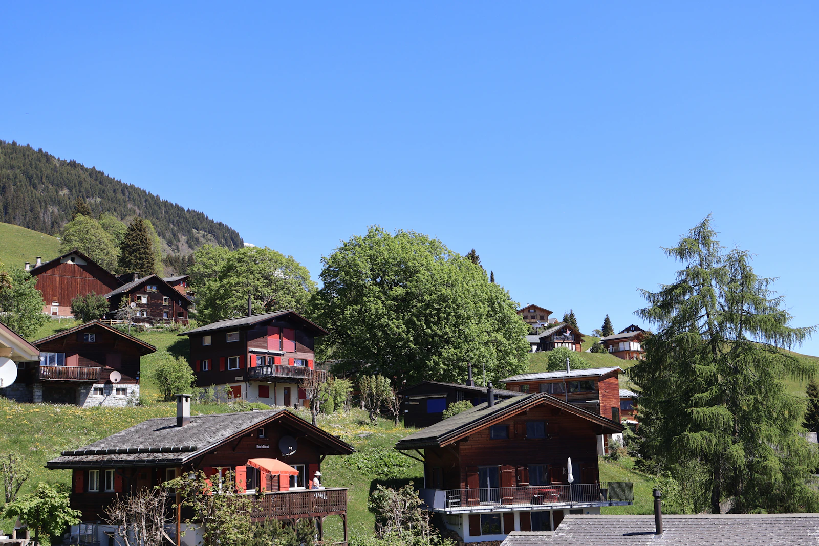 Gstaad Palace