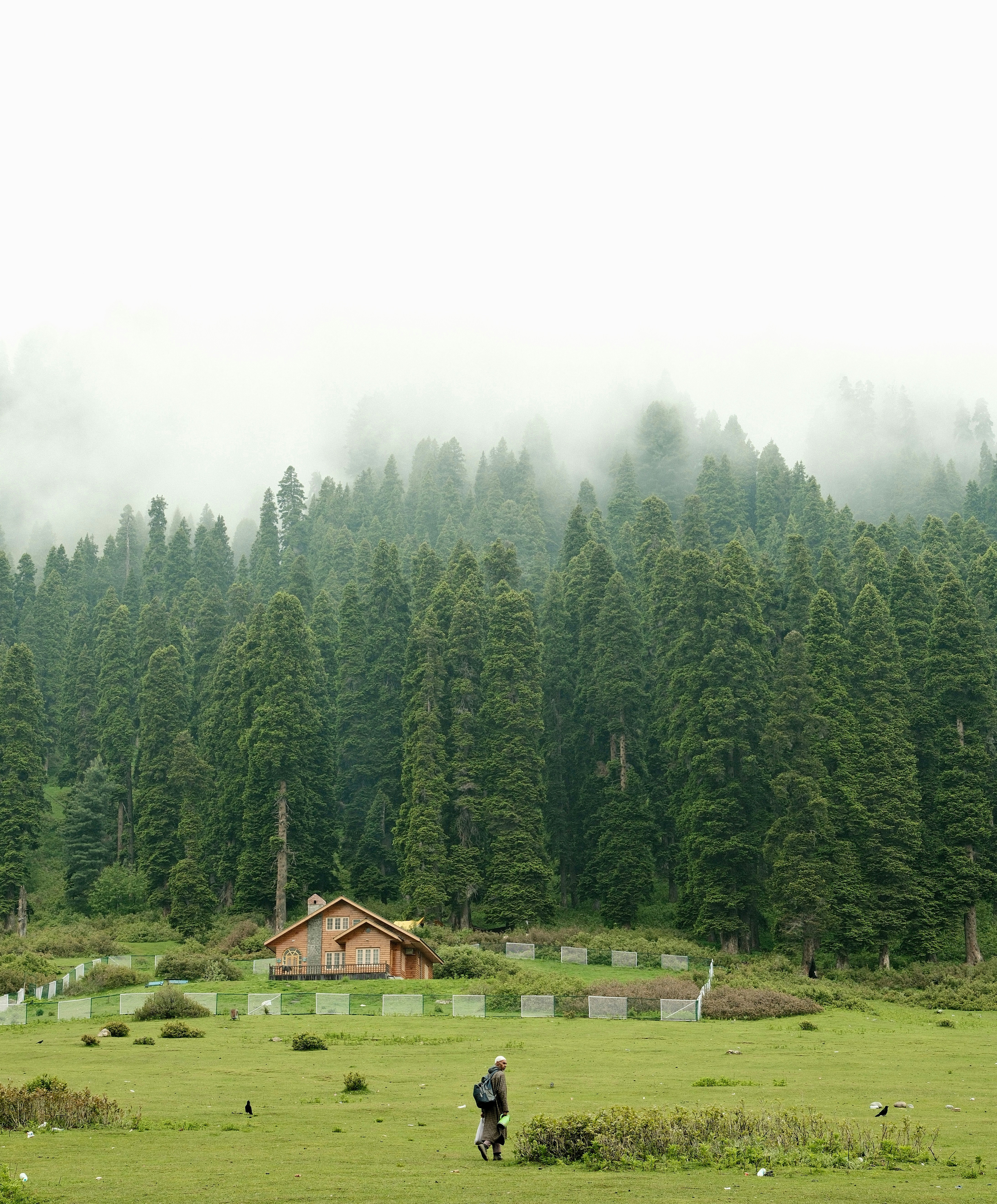 Hiker in grassy field with cabin and misty forest.
