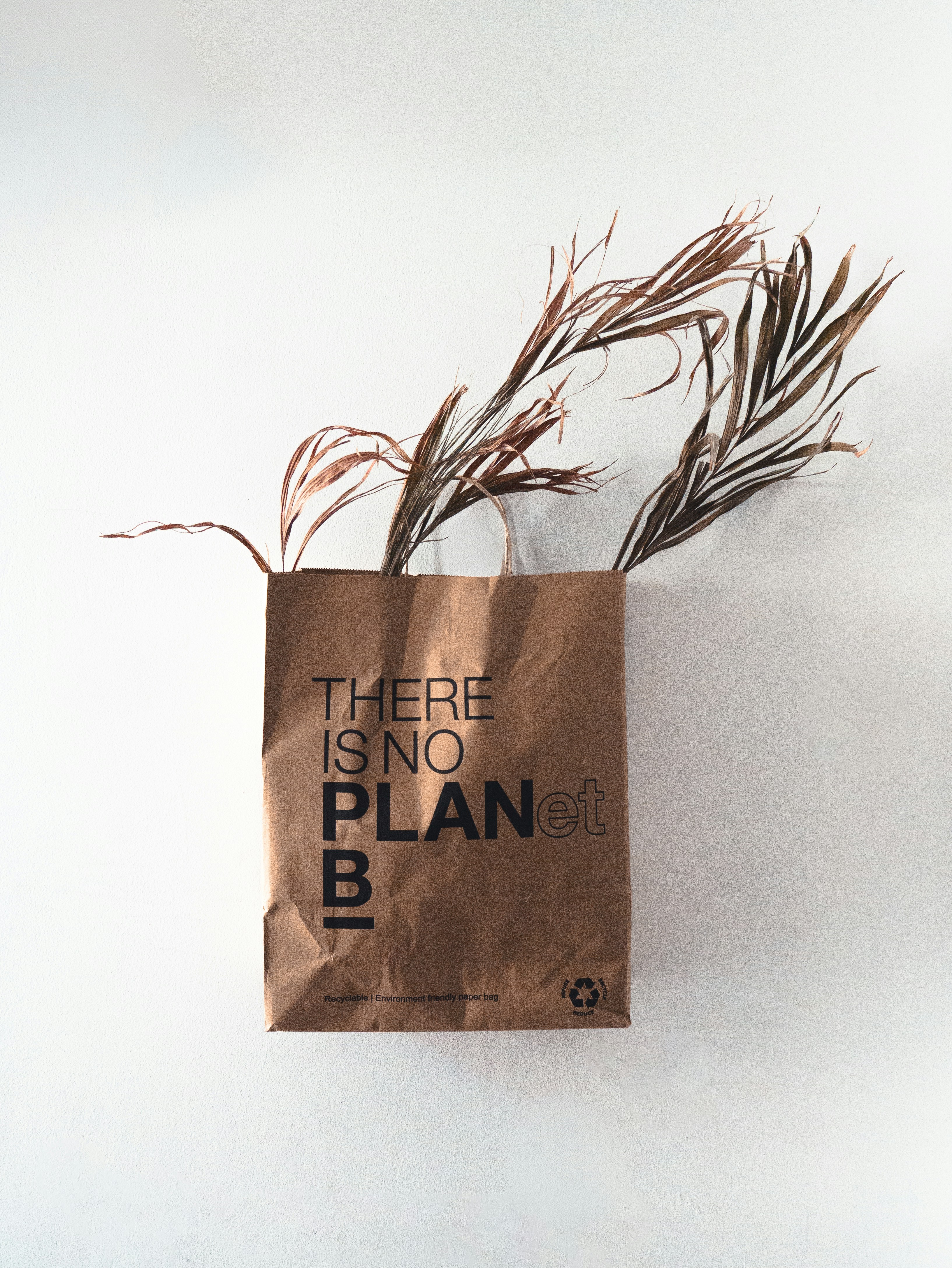 Brown paper bag, 'no planet b' message, and dried leaves.