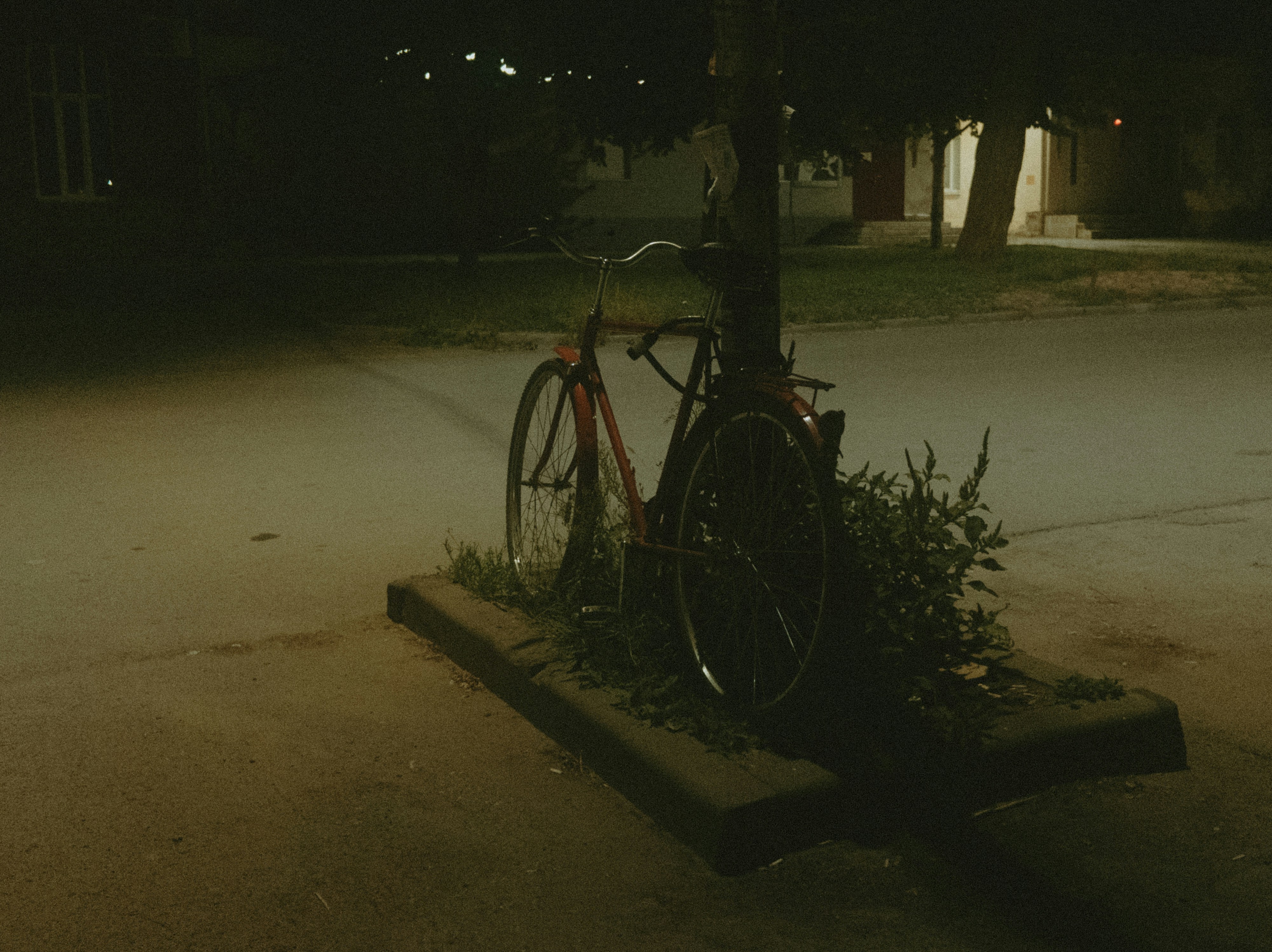A bicycle parked next to a tree at night.