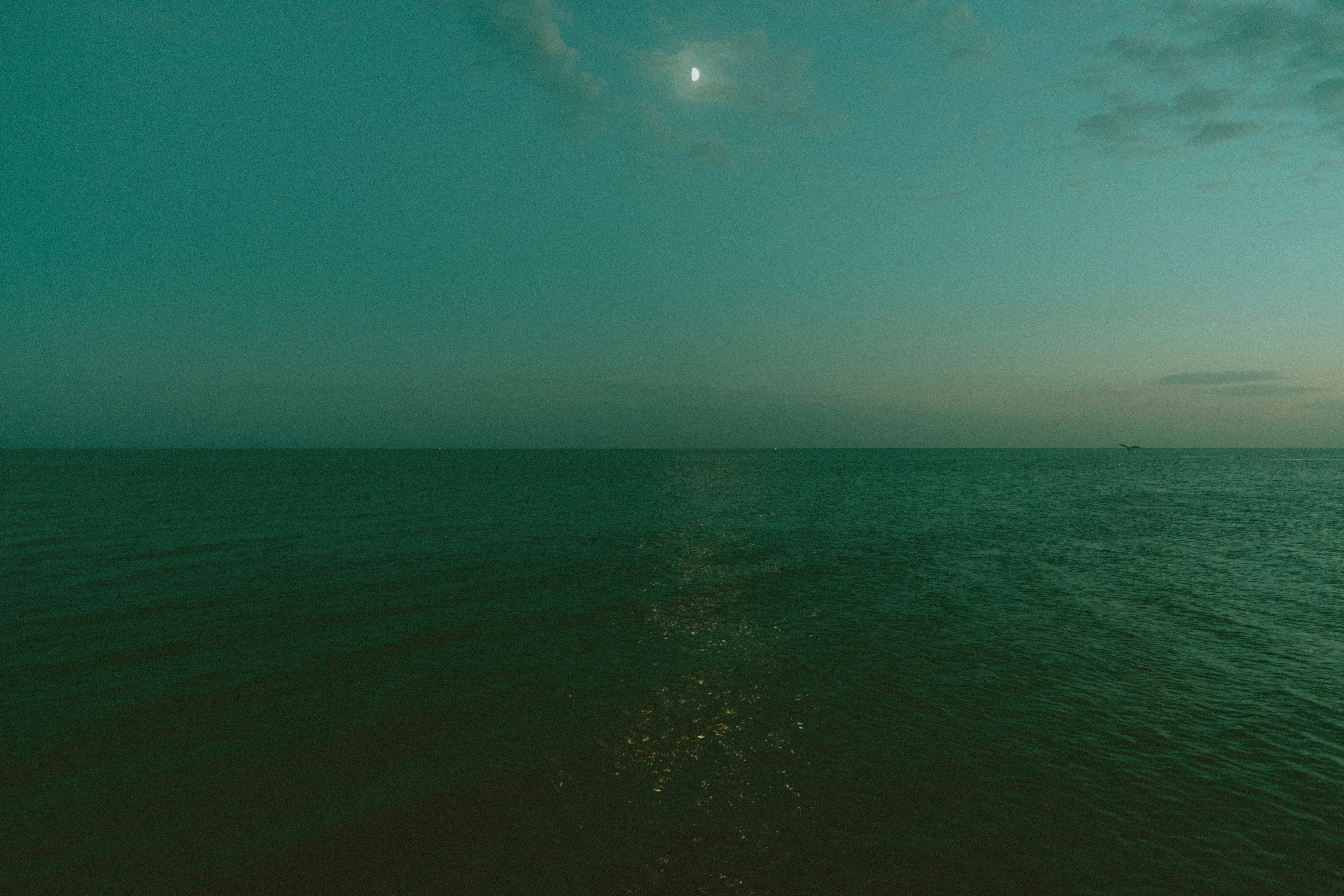 Photo by leshatuman