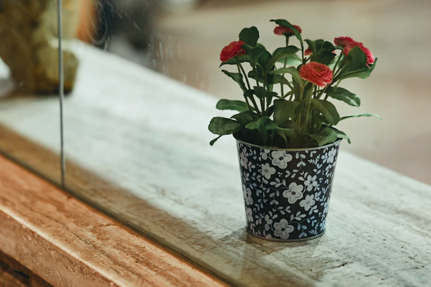 Small Decorative Plant in Warm Lit Home Decor 2026