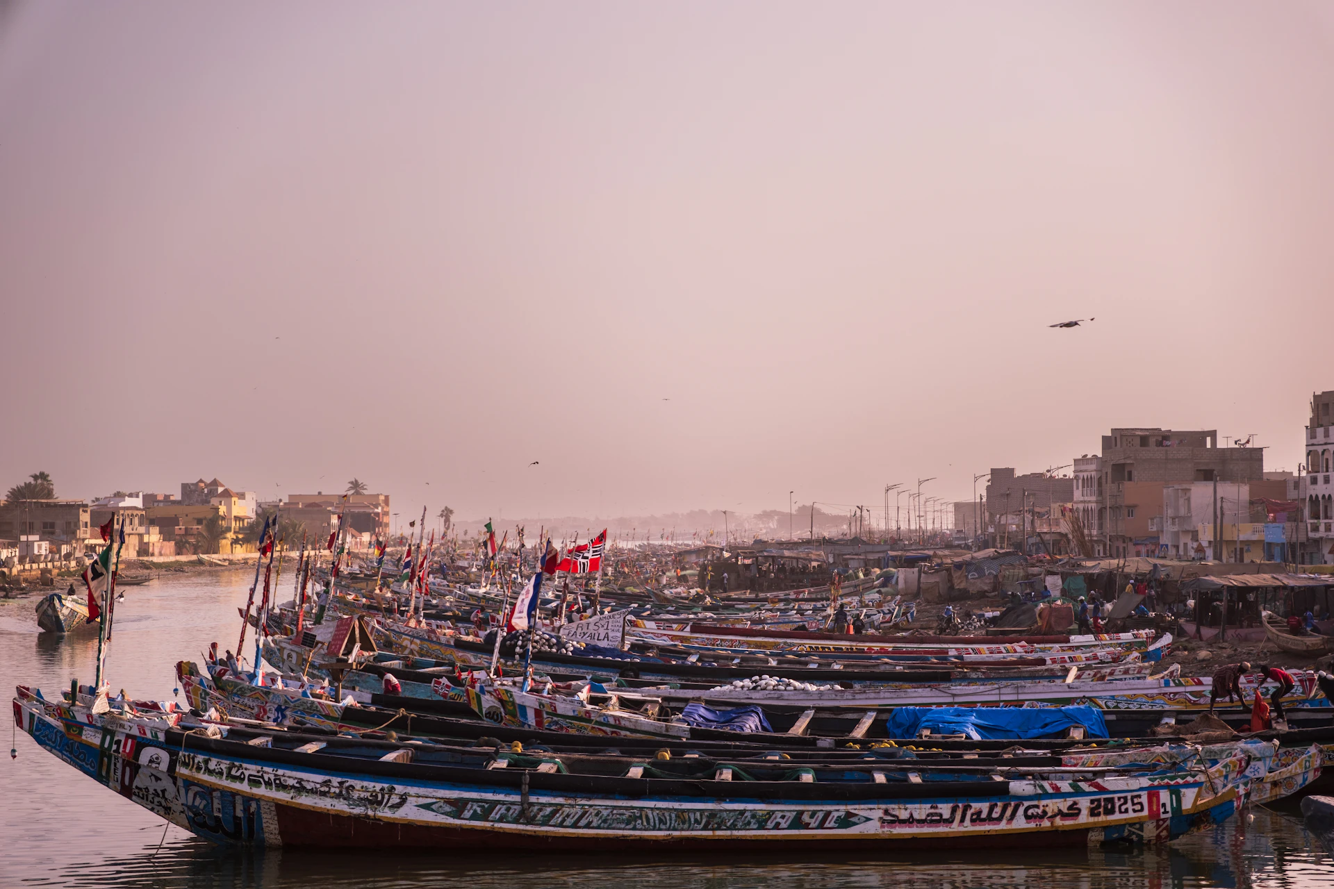 Flotte de pirogues de pêche sénégalaises dans le port de Saint-Louis