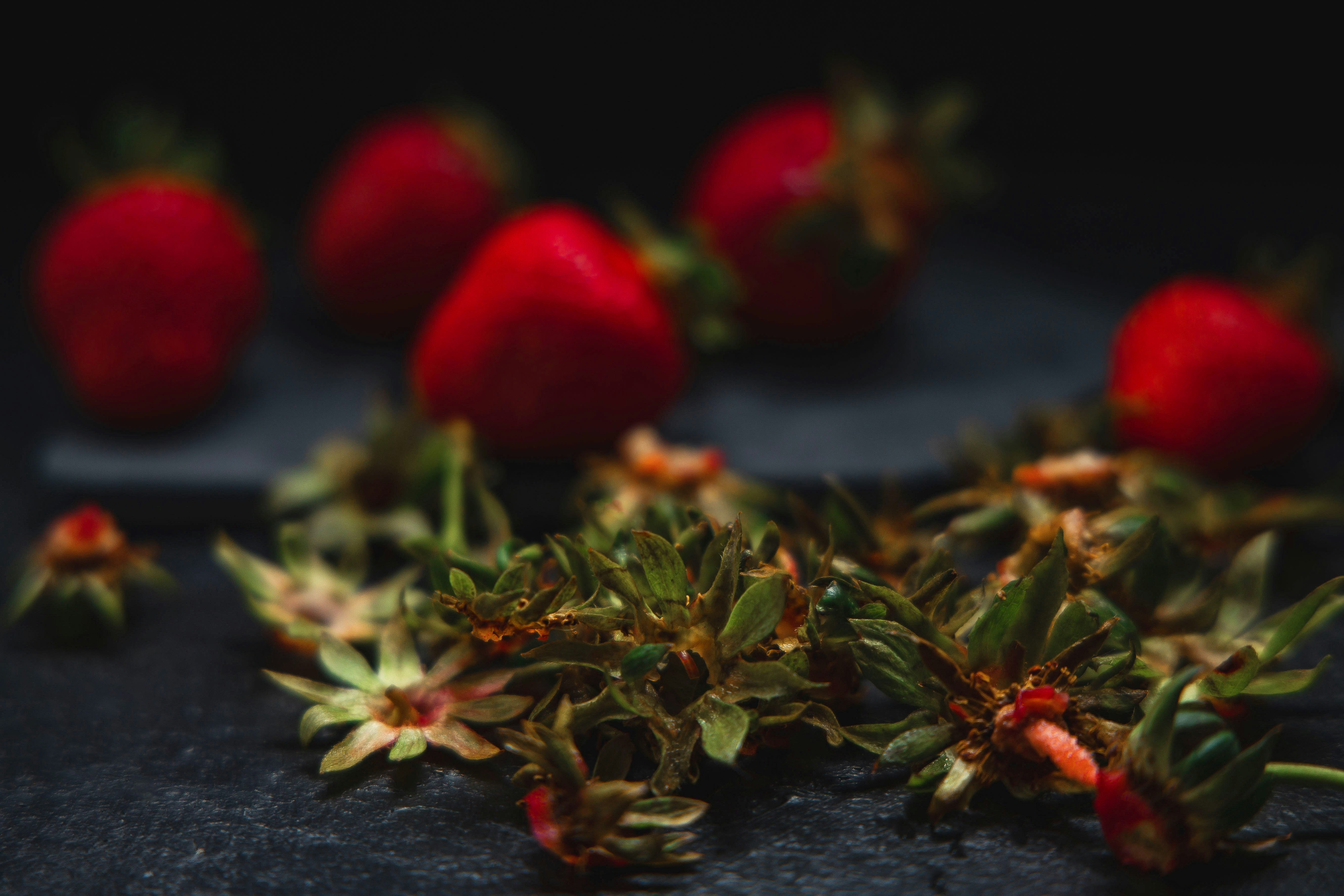 Rote Erdbeeren und grüne Oberseiten auf dunklem Hintergrund.