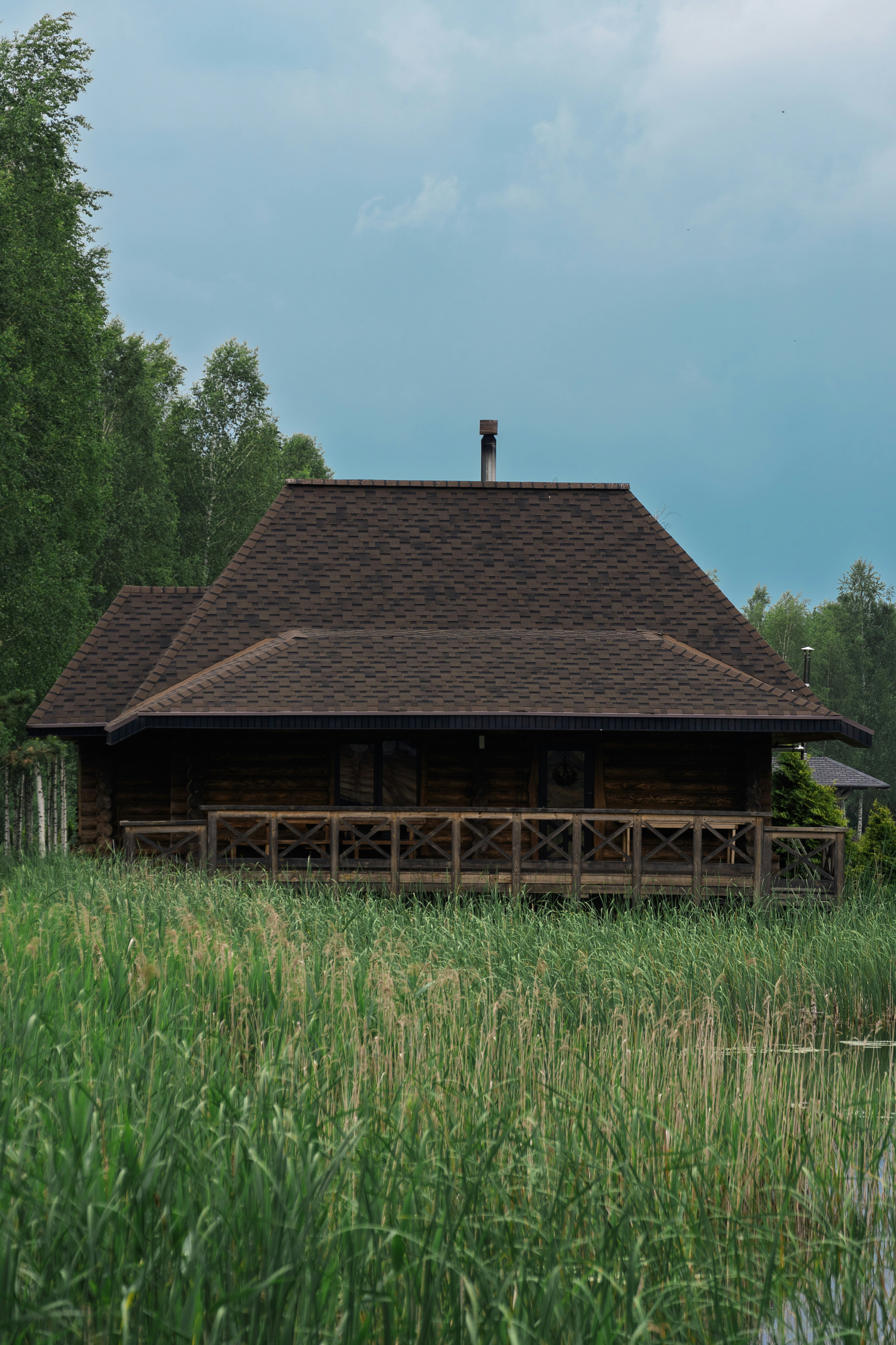 Rustic wooden house by a lake with tall green reeds.