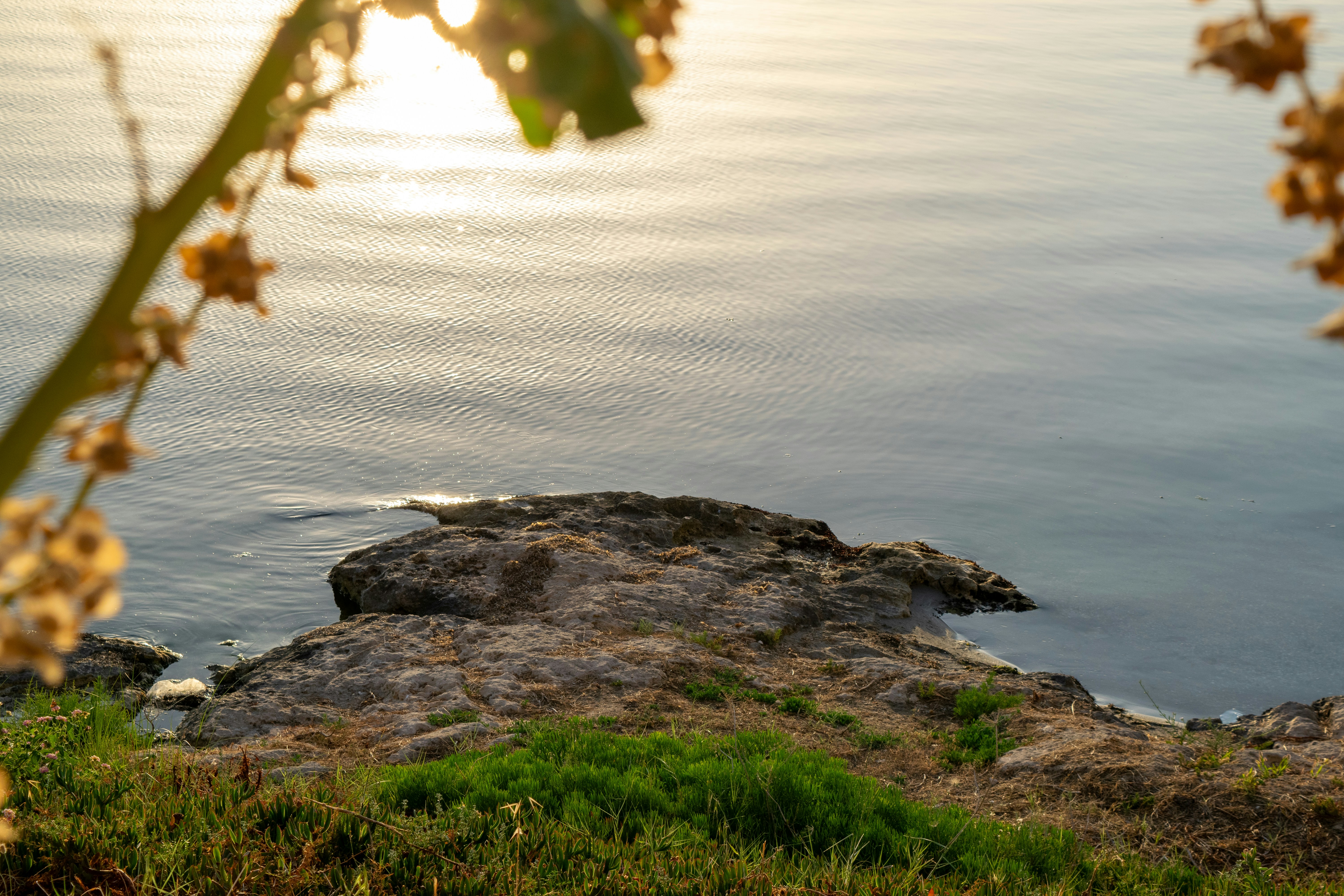Photo by aiveqo