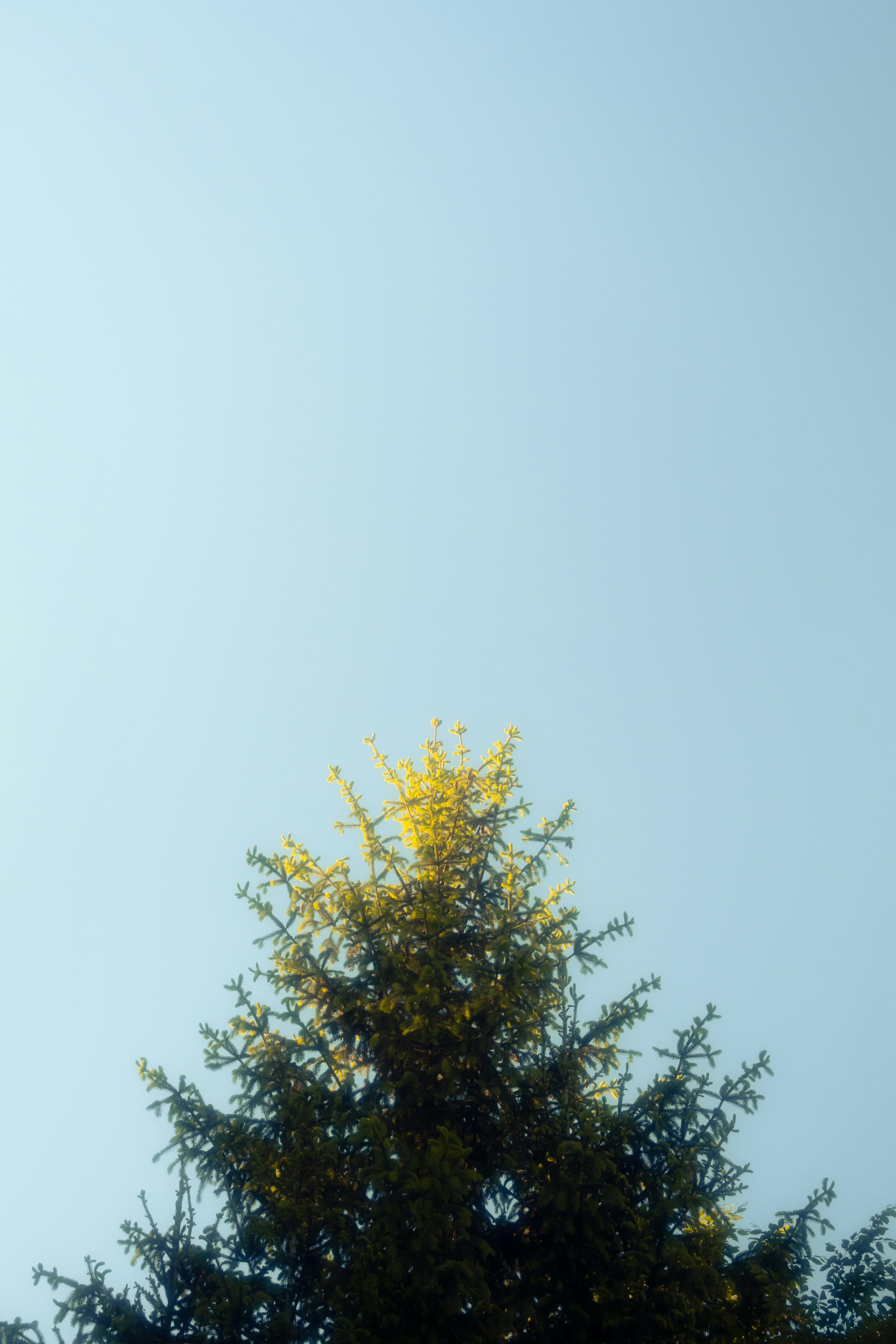 Photo by yunghollows
