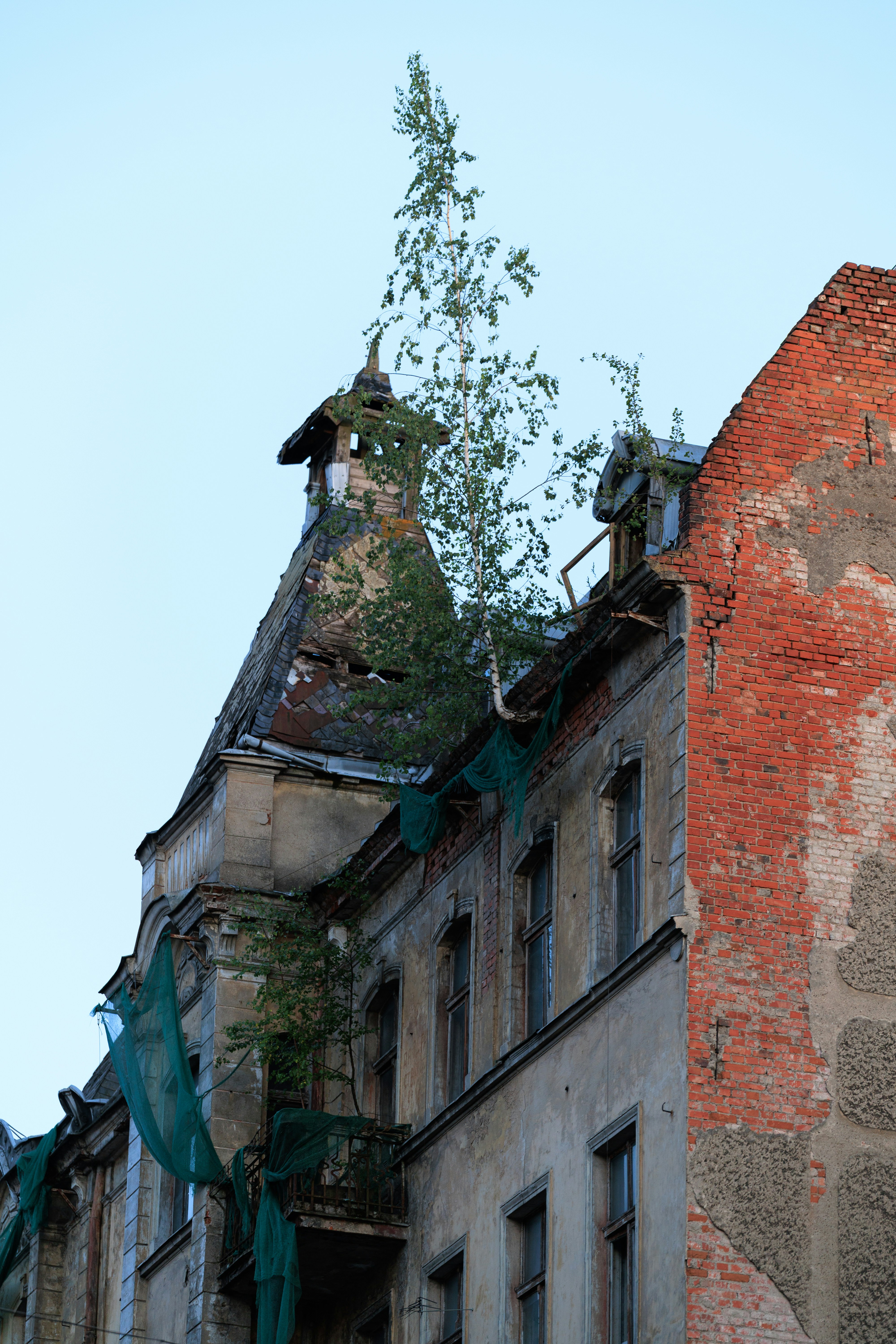 Dilapidated building with a tree growing from its roof.