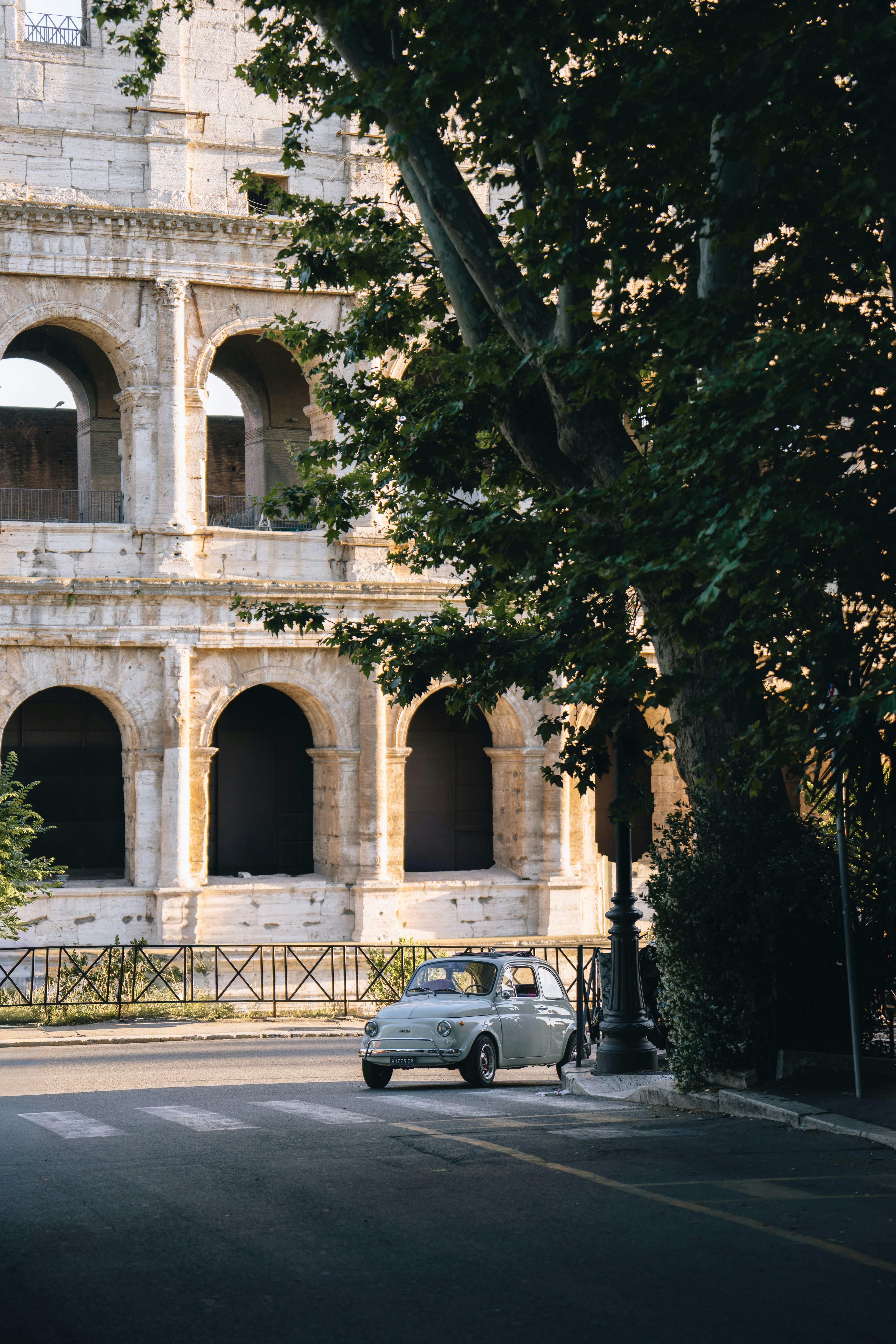 Vintage car parked near the colosseum with a large tree.